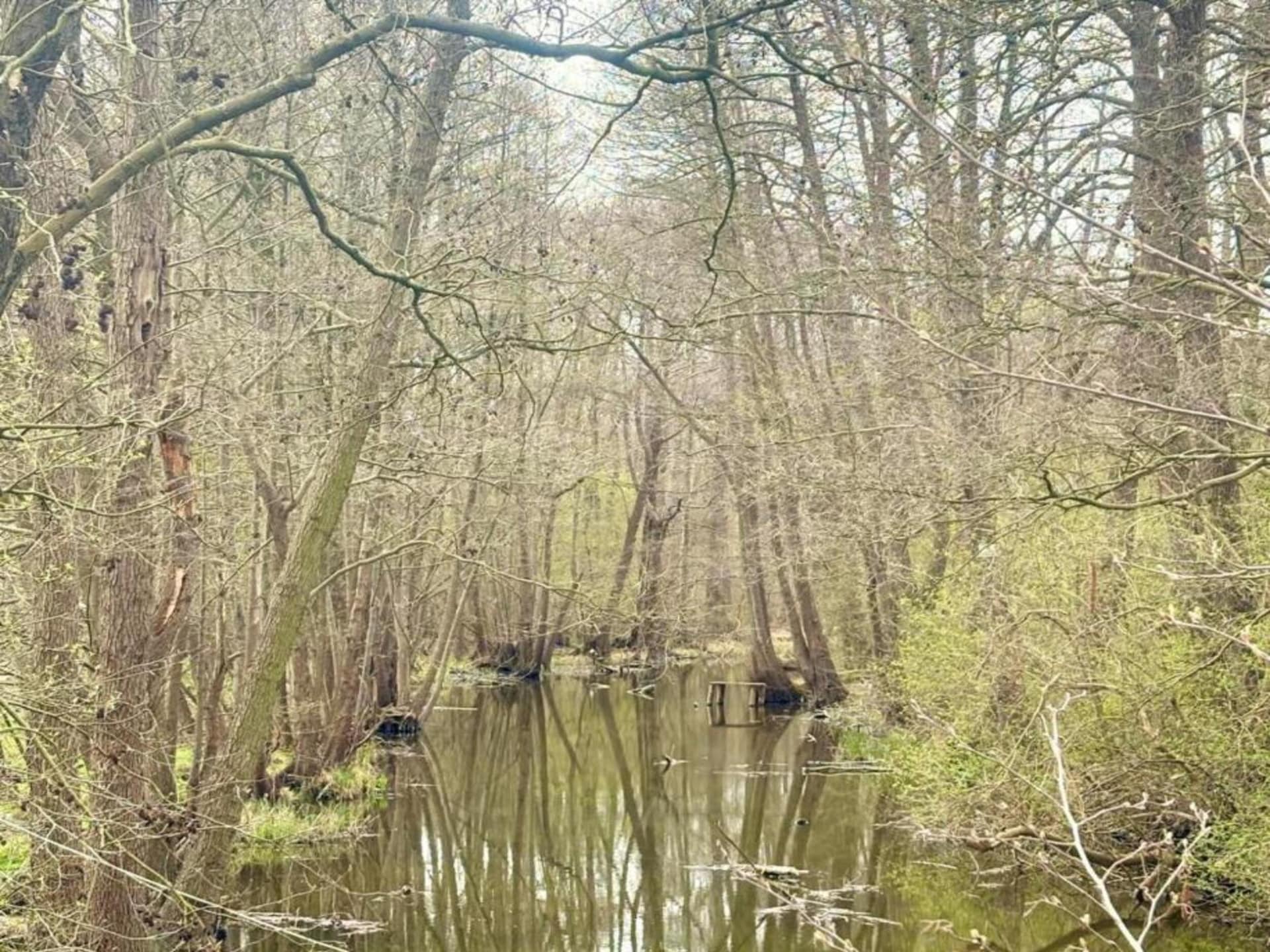 Aan het meer: Rustgevend vakantiehuis in het centrum van Lubrza - foto 23