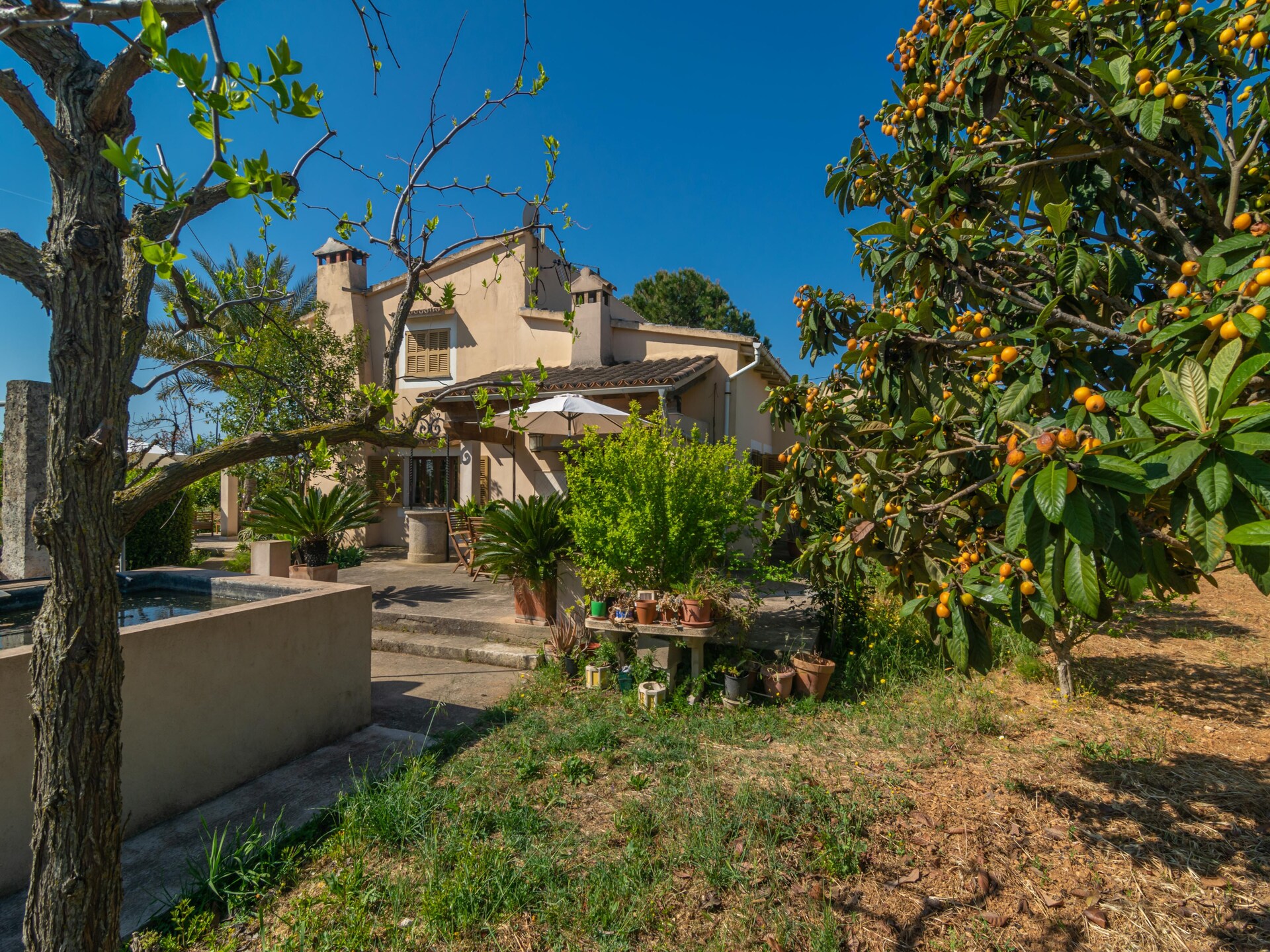 Authentiek Mallorcaans appartement aan de golfbaan in Inca - foto 36