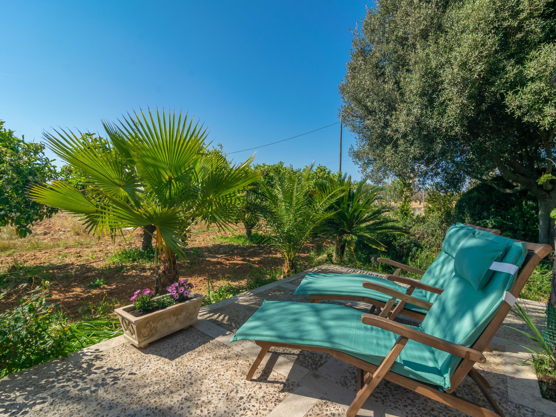 Authentiek Mallorcaans appartement aan de golfbaan in Inca - foto 52