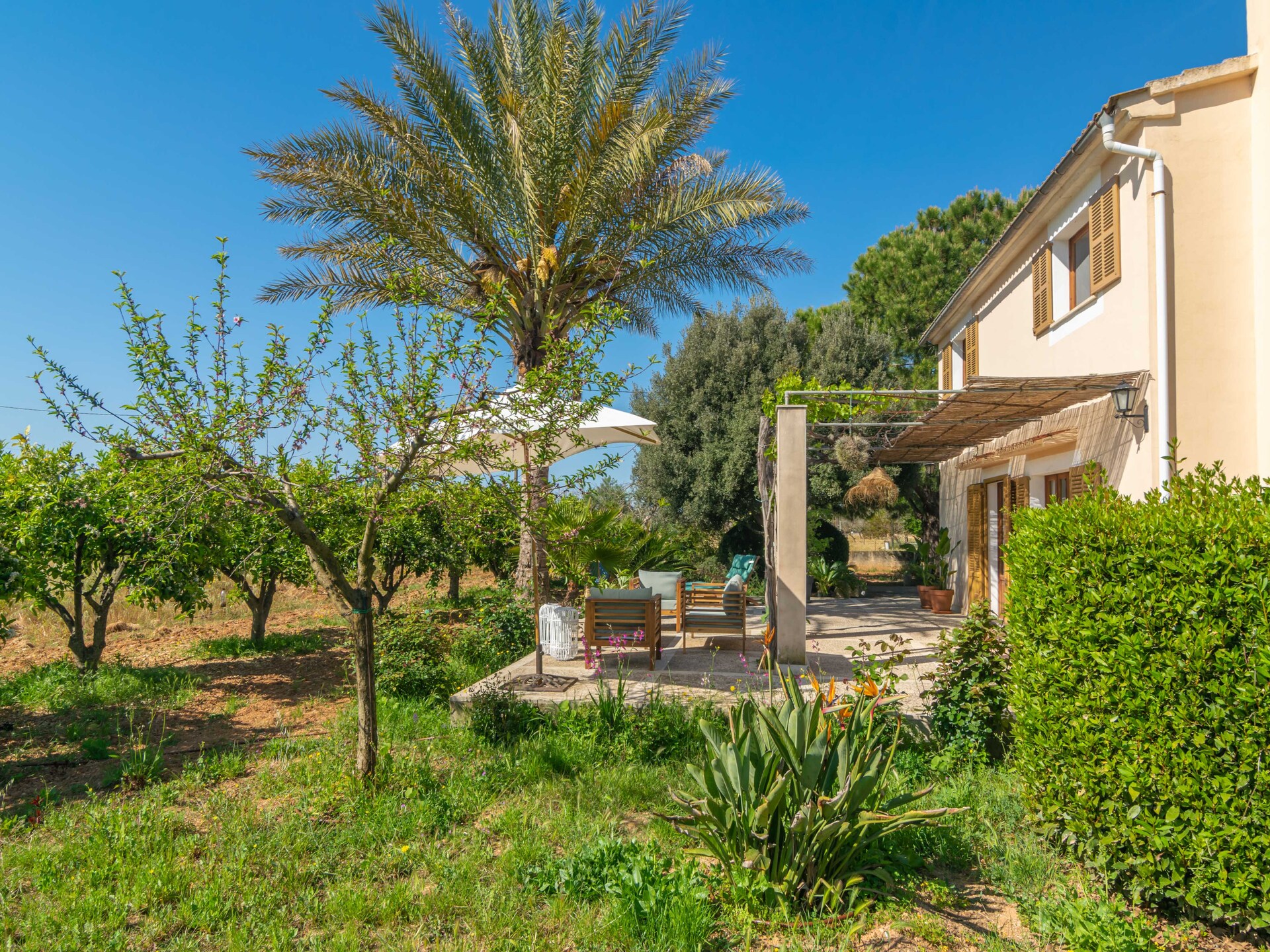 Authentiek Mallorcaans appartement aan de golfbaan in Inca - foto 58