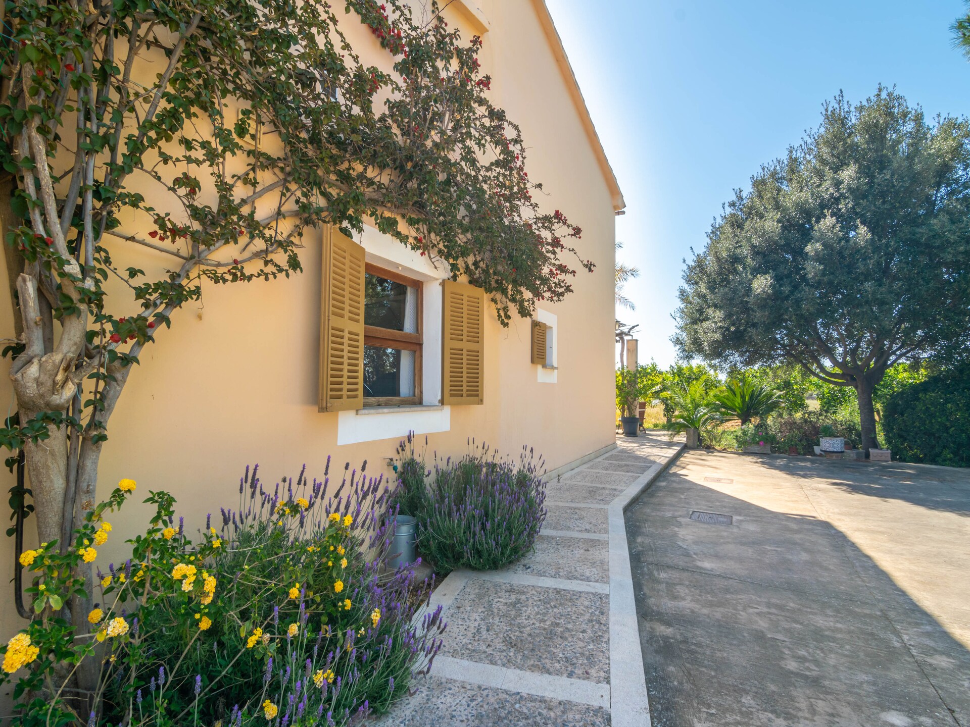 Authentiek Mallorcaans appartement aan de golfbaan in Inca - foto 61