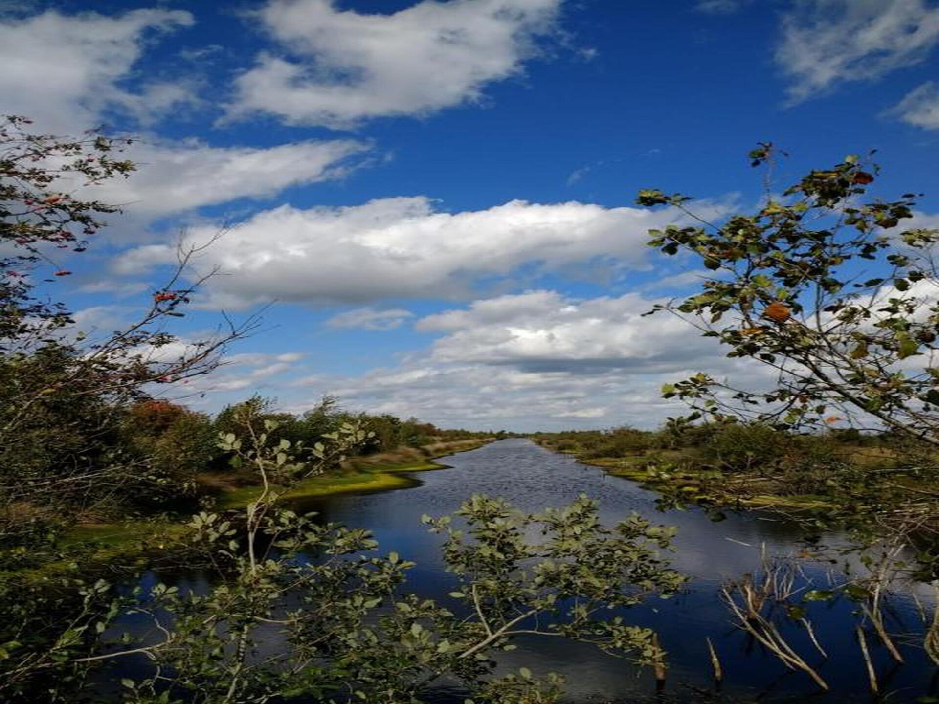 Luxe watervilla in Nationaal Park Weerribben-Wieden met privéboot - foto 17