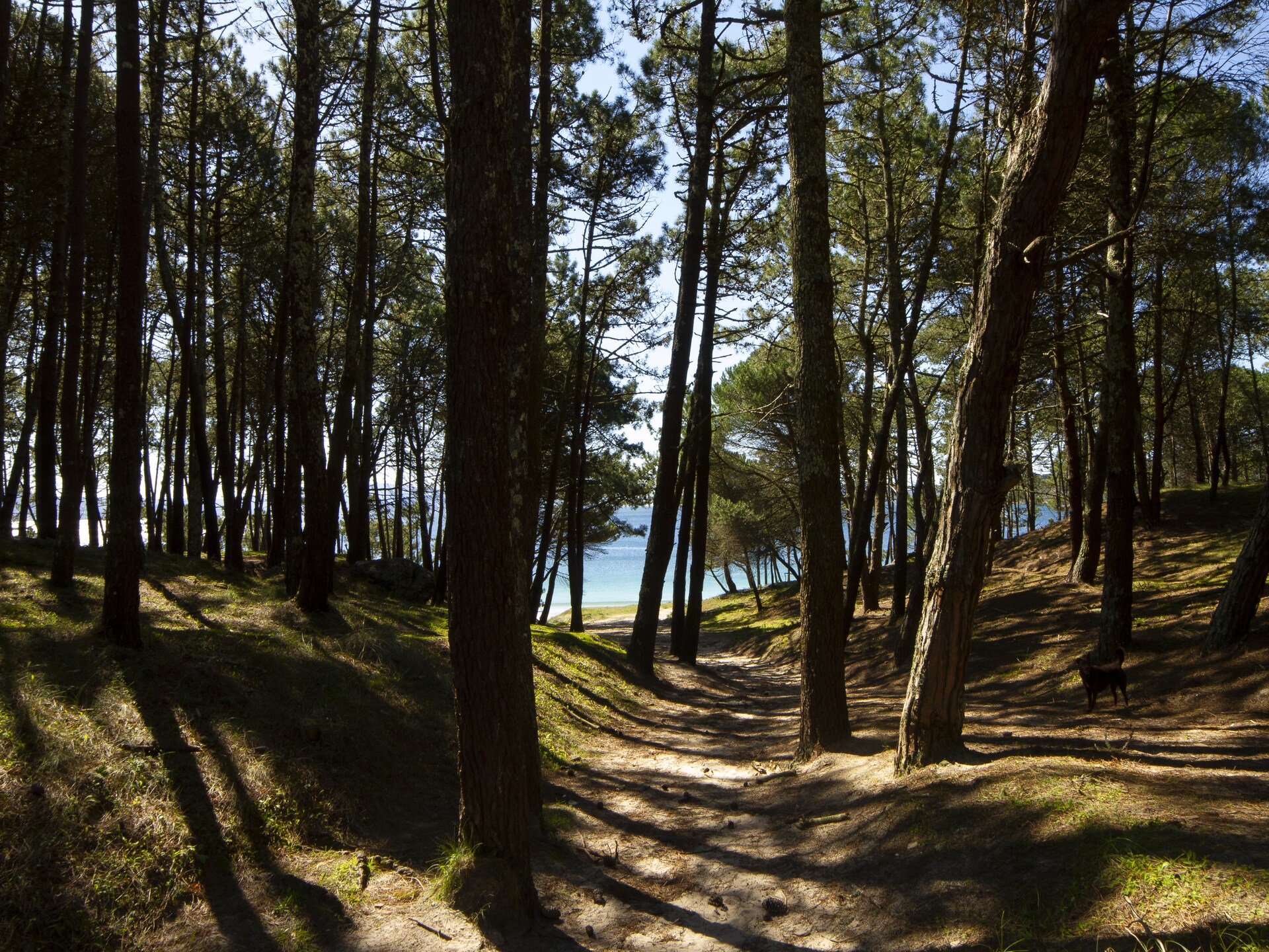Vrijstaande villa Dupplex I met zwembad nabij strand Cangas do Morrazo - foto 27