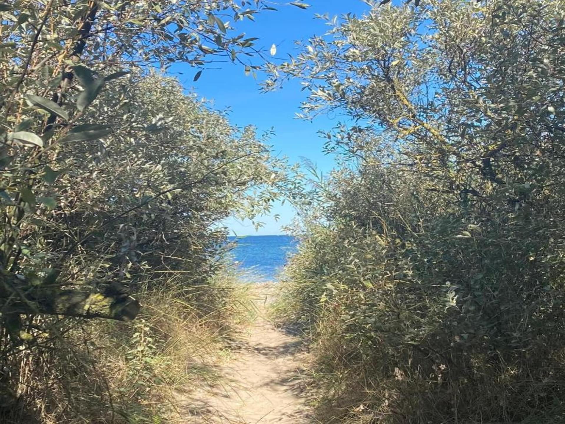 Op 1,4 km van het strand: ruim appartement in Bastorf / Kägsdorf - foto 30