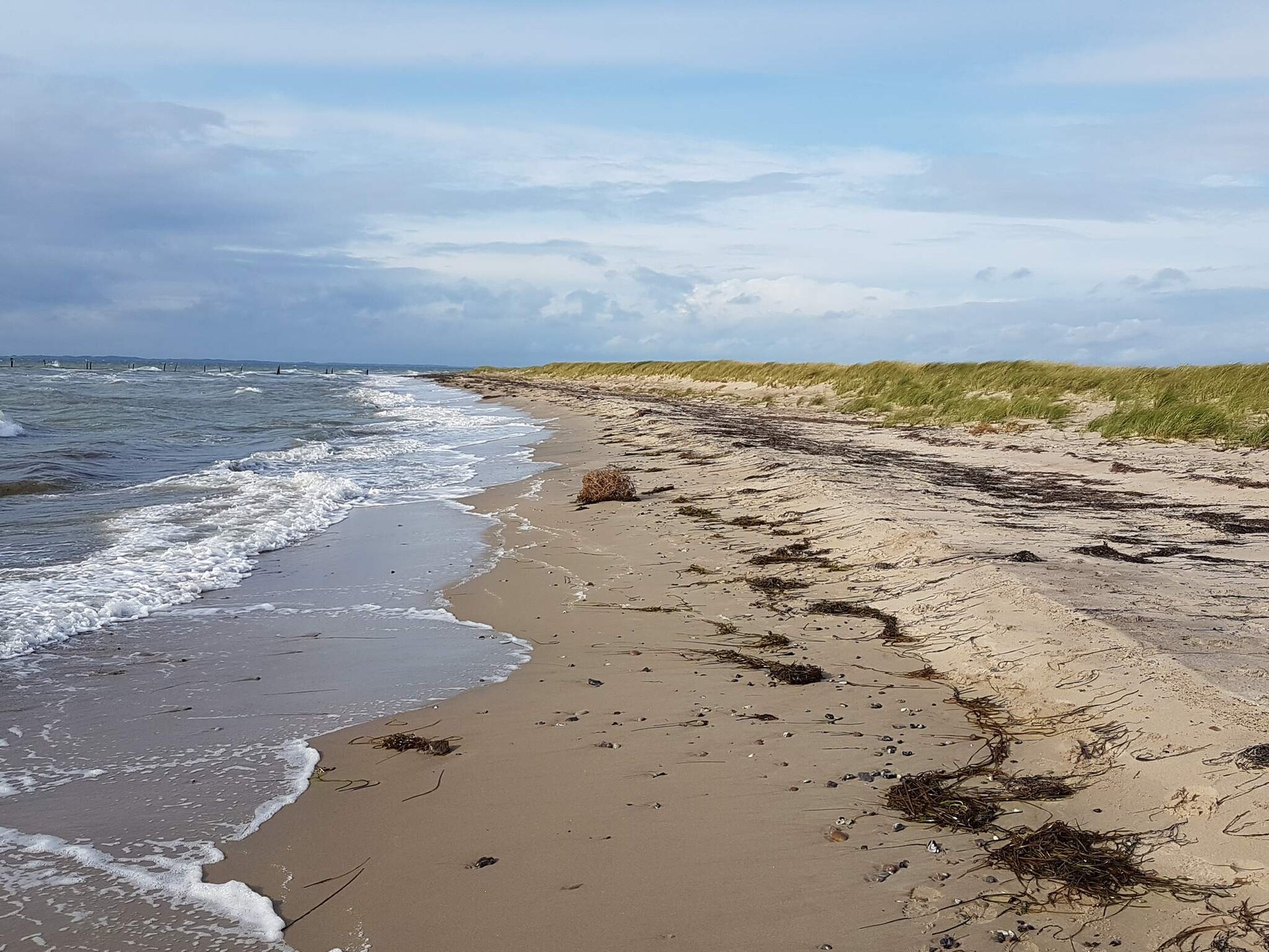 Vrijstaand vakantiehuis bij Nakskov met wildnisbad, vlakbij zee - foto 25