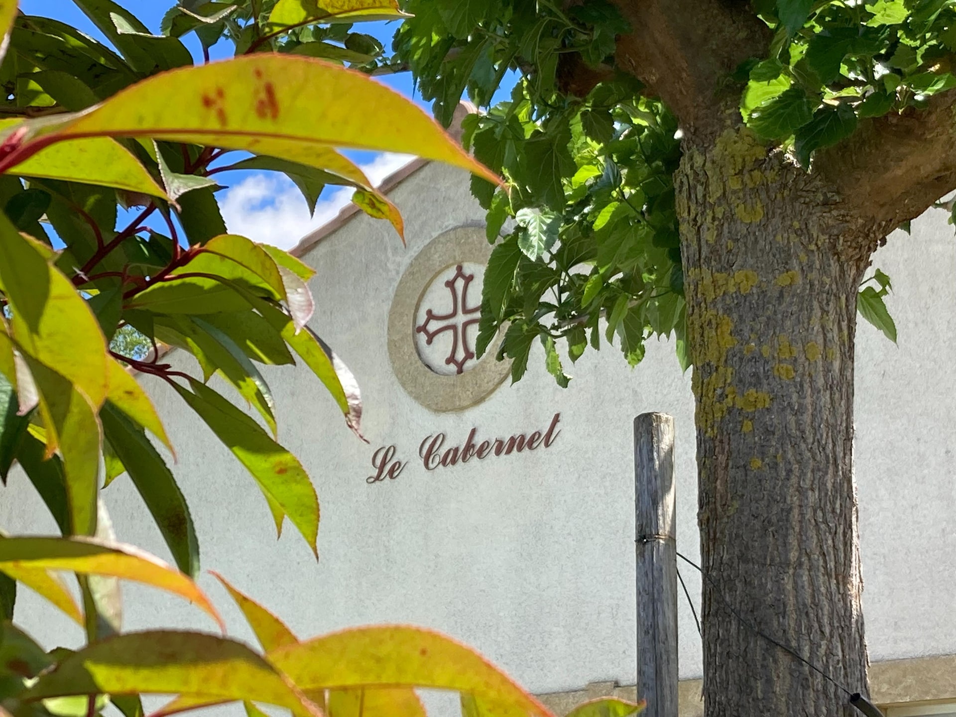 Villa Le Cabernet: Rustige villa met zwembad in Montbrun-des-Corbières - foto 17