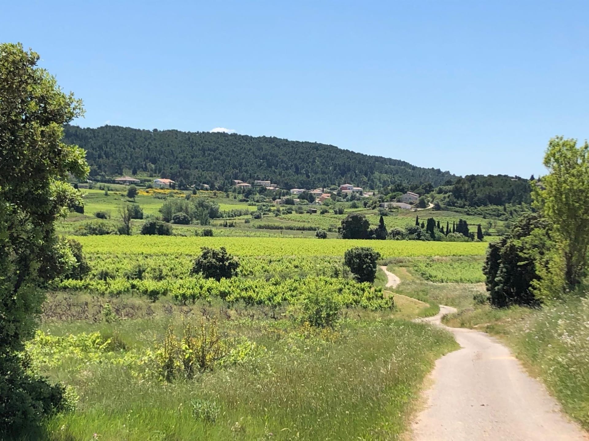 Villa Le Cabernet: Rustige villa met zwembad in Montbrun-des-Corbières - foto 30