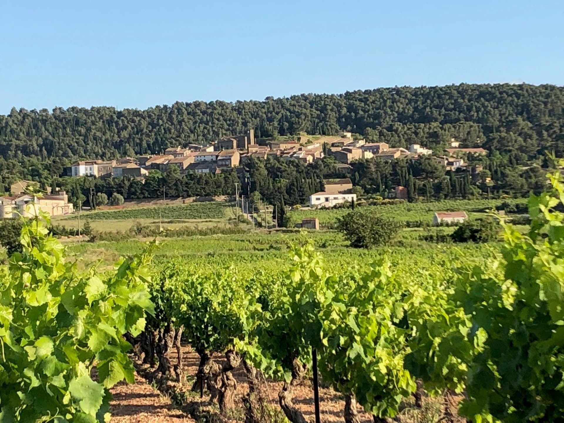 Villa Le Cabernet: Rustige villa met zwembad in Montbrun-des-Corbières - foto 33