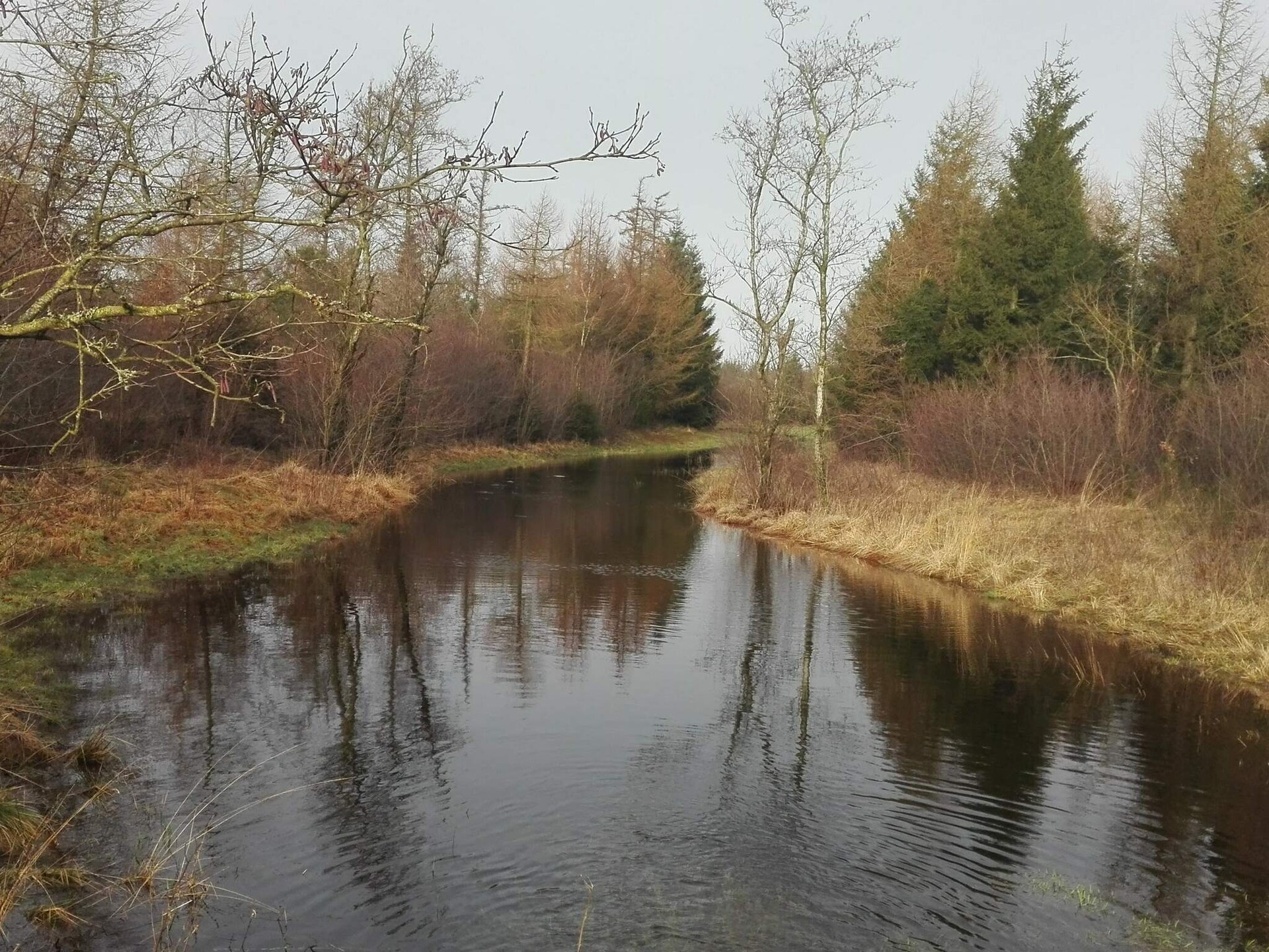 Reetgedekt vakantiehuis voor 18 personen met privémeer en jachthut op 10 meter van zee - foto 11