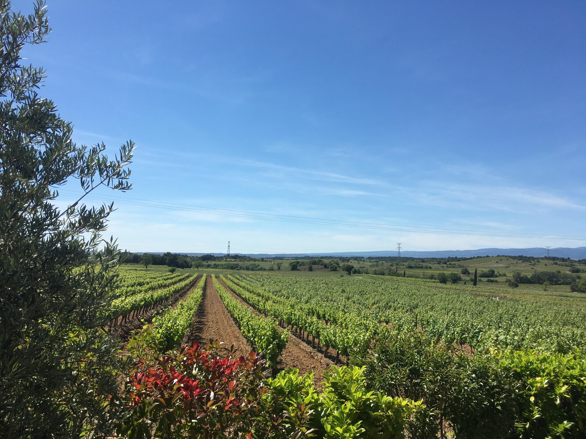 Villa le Syrah: Luxe vakantievilla met privézwembad in de Corbières - foto 35