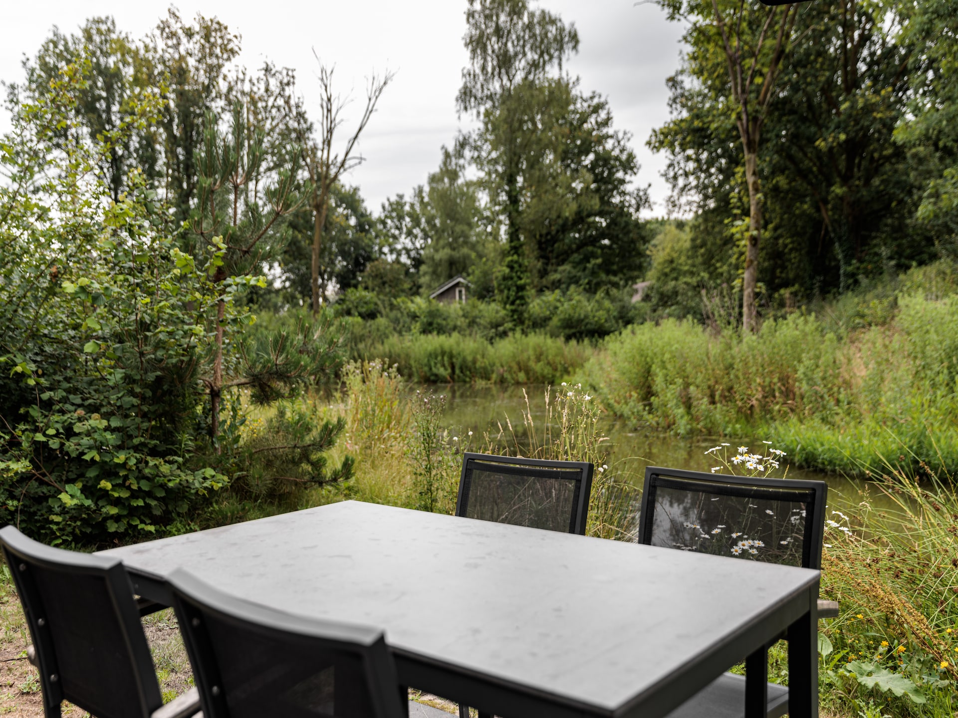 Stijlvolle bungalow voor 4 personen in Schaijk - foto 6