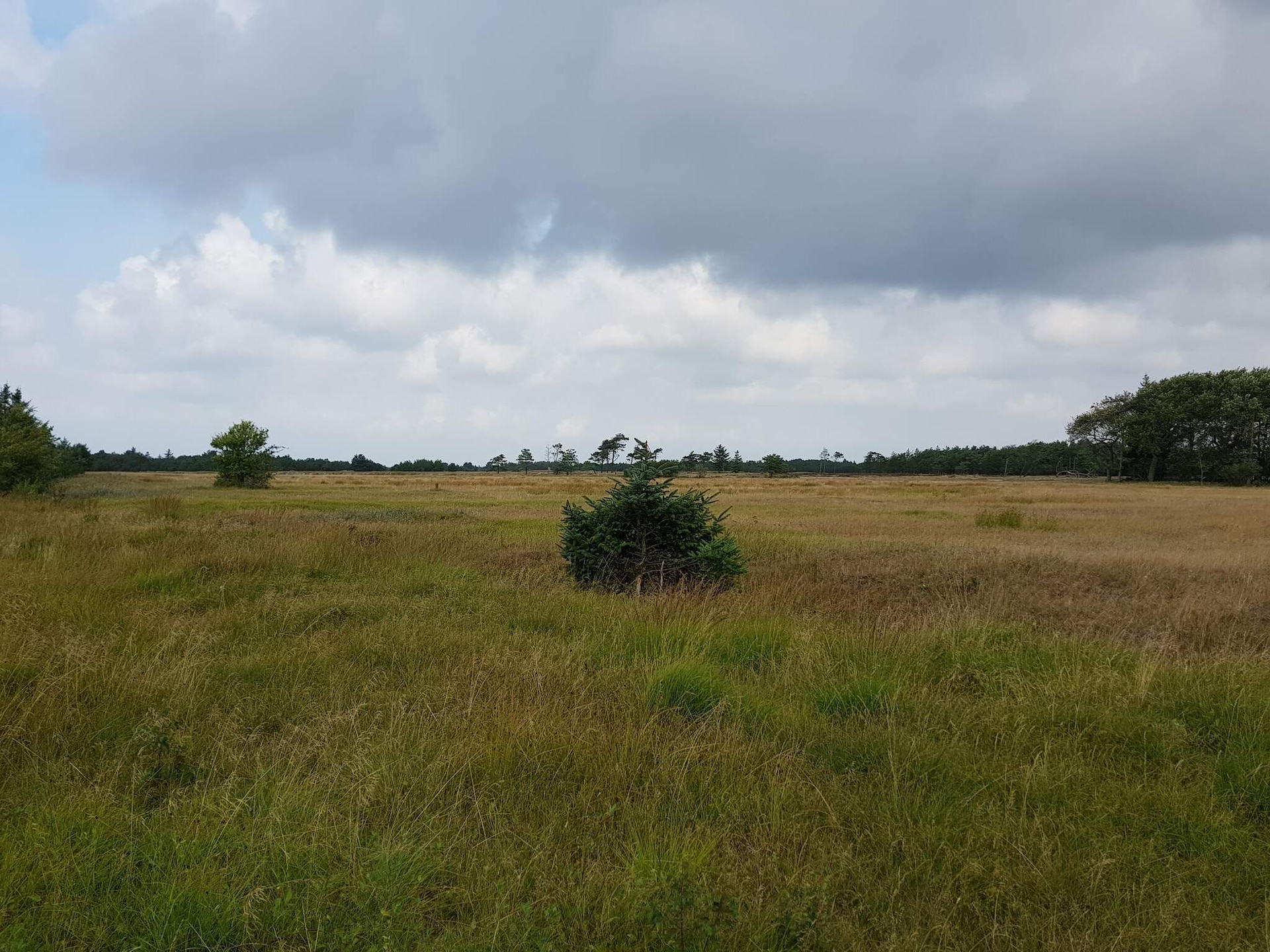 4-persoons vakantiehuis in Oksbøl op 1,2 km van de zee - foto 5