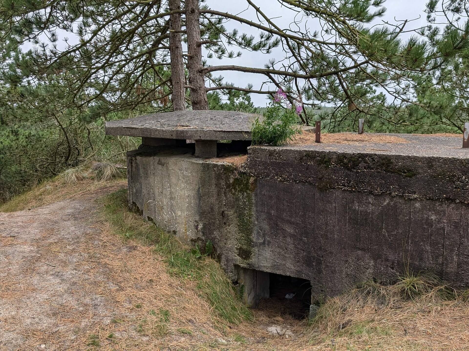 4-persoons vakantiehuis in Oksbøl op 1,2 km van de zee - foto 7