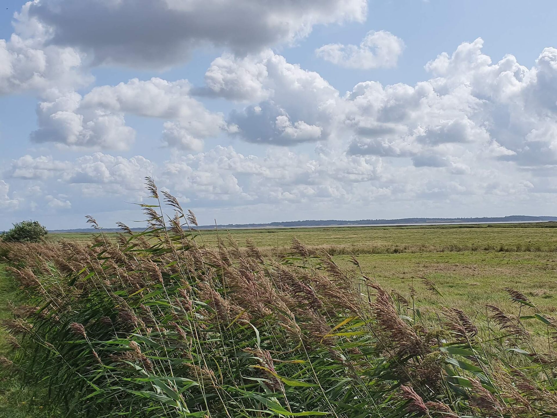 4-persoons vakantiehuis in Oksbøl op 1,2 km van de zee - foto 8