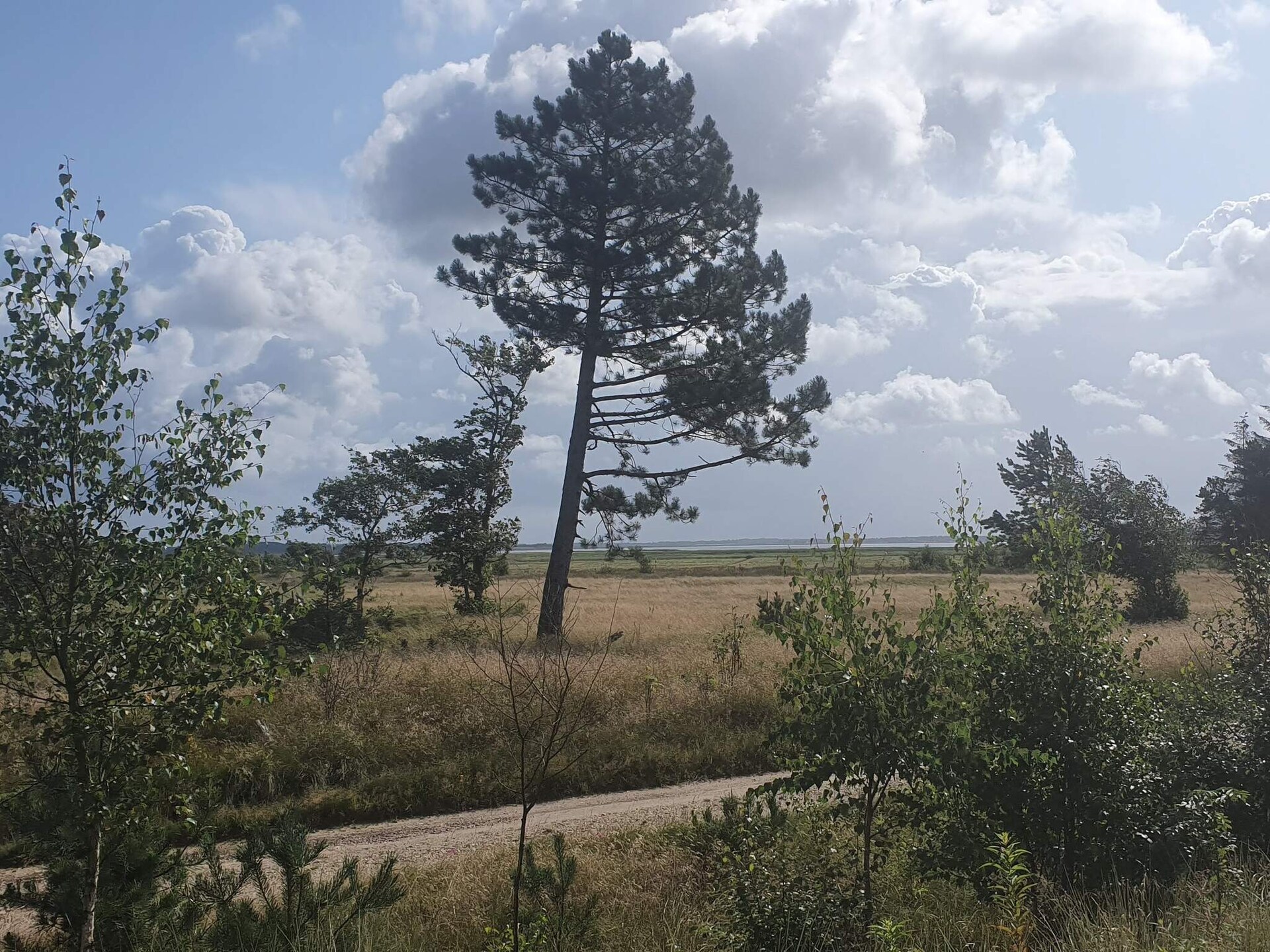 4-persoons vakantiehuis in Oksbøl op 1,2 km van de zee - foto 9