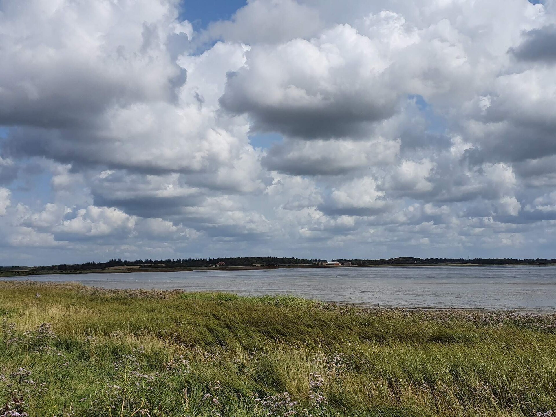 4-persoons vakantiehuis in Oksbøl op 1,2 km van de zee - foto 18