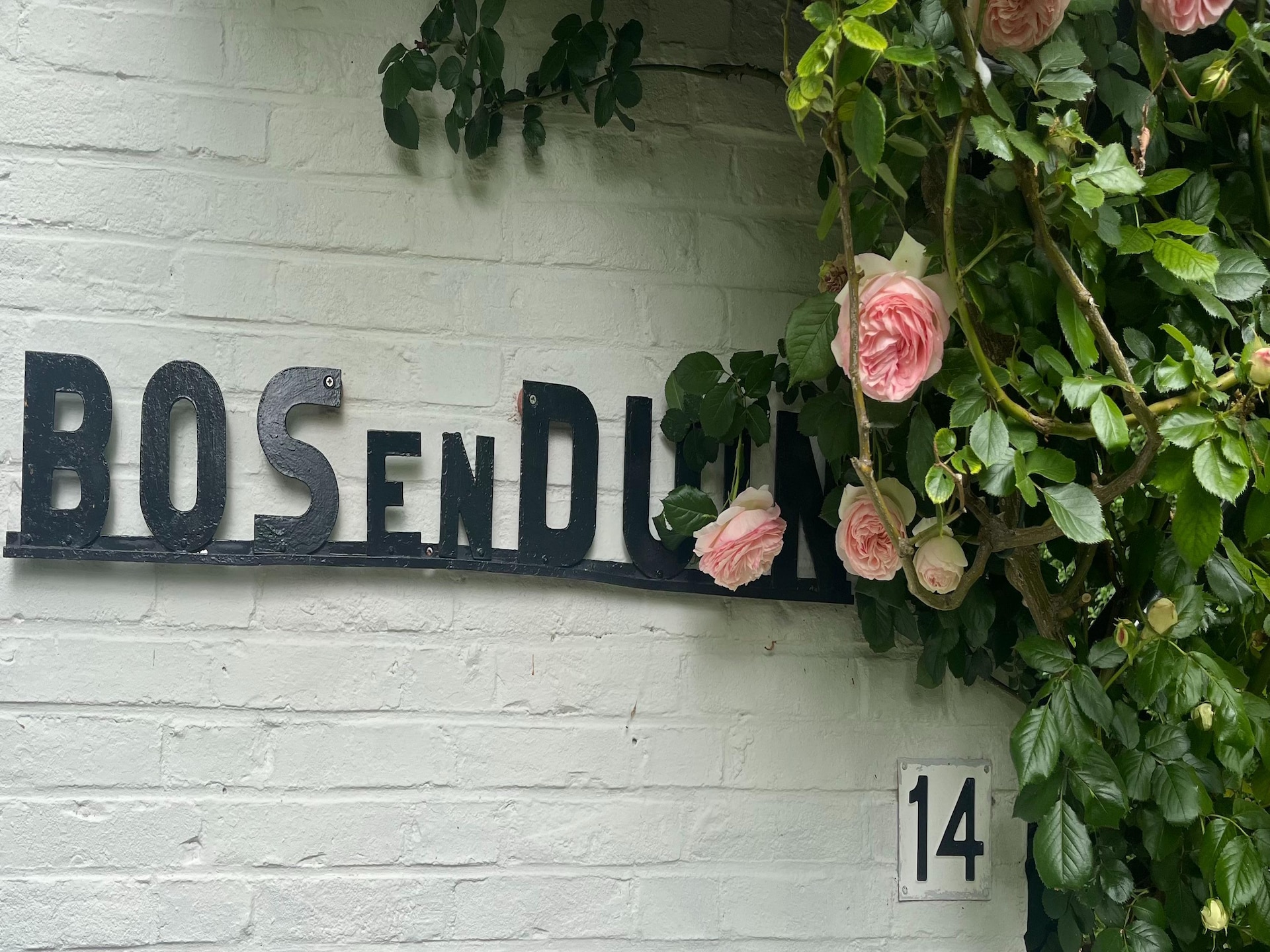 Vrijstaand boshuis met luxe tuin op 200 meter van het strand - foto 37