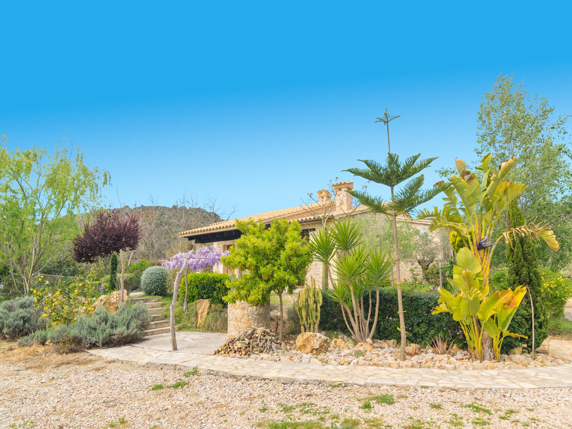 Authentieke Mallorcaanse finca met privézwembad en uitzicht nabij Sa Pobla - foto 40