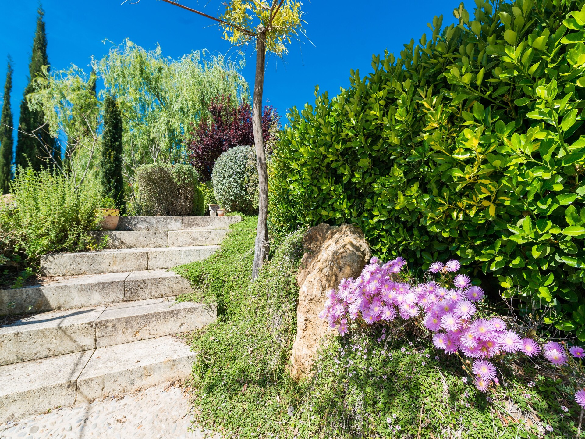 Authentieke Mallorcaanse finca met privézwembad en uitzicht nabij Sa Pobla - foto 38