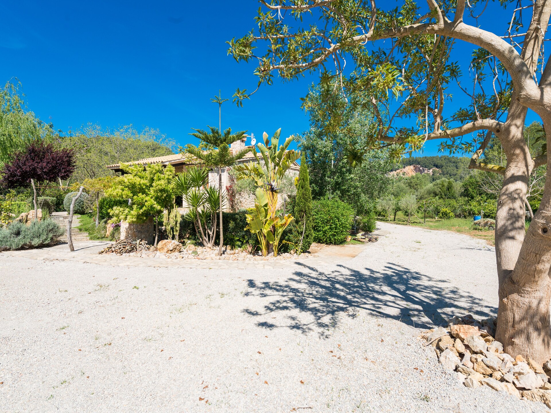Authentieke Mallorcaanse finca met privézwembad en uitzicht nabij Sa Pobla - foto 44
