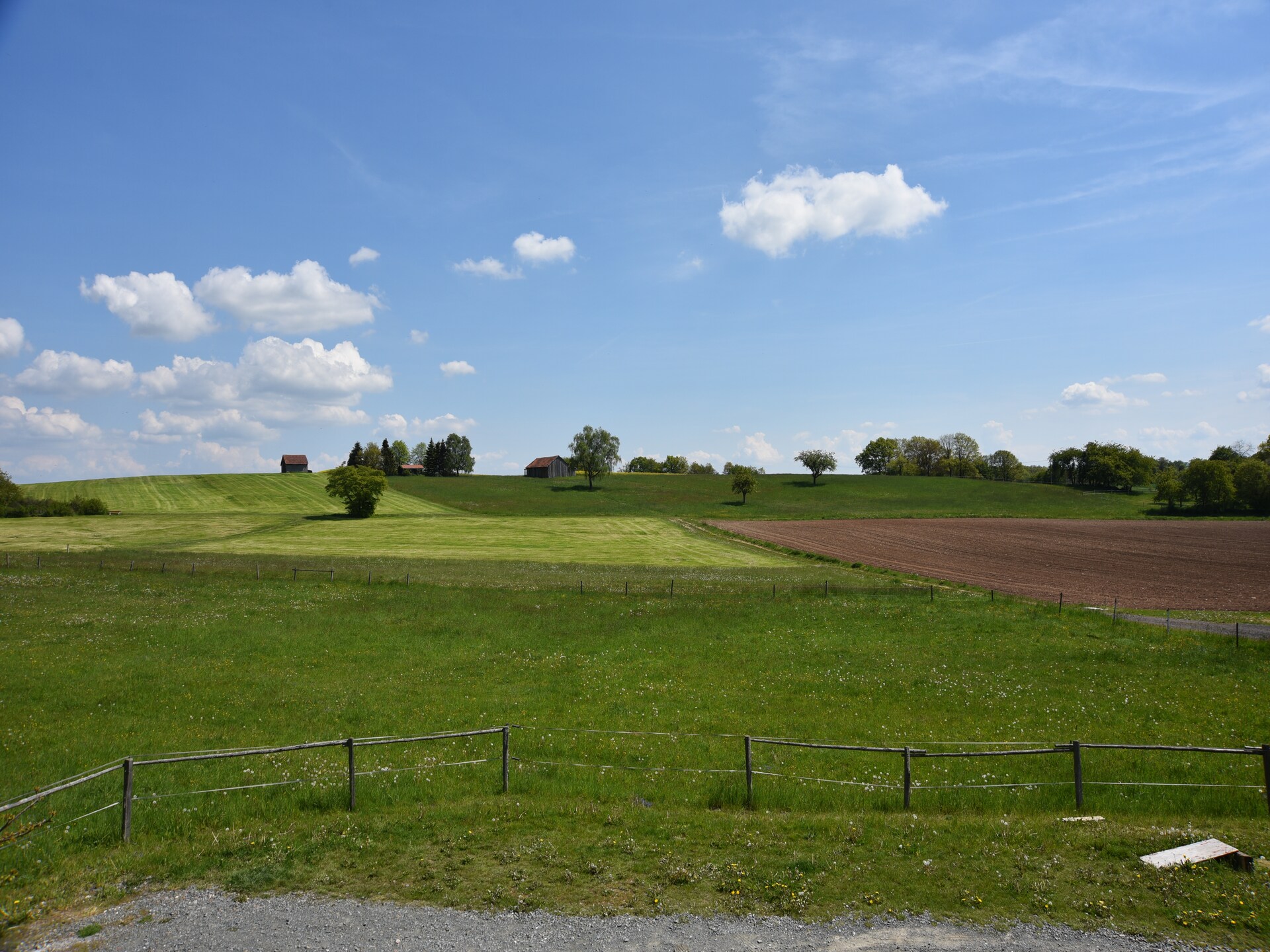 Knus appartement Eulennest bij Edersee met tuin, hond welkom - foto 21