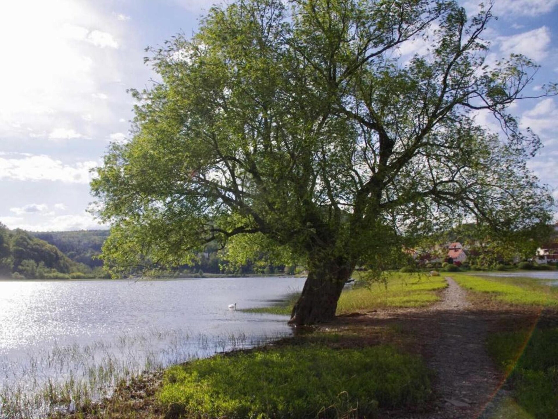 Knus appartement Eulennest bij Edersee met tuin, hond welkom - foto 31