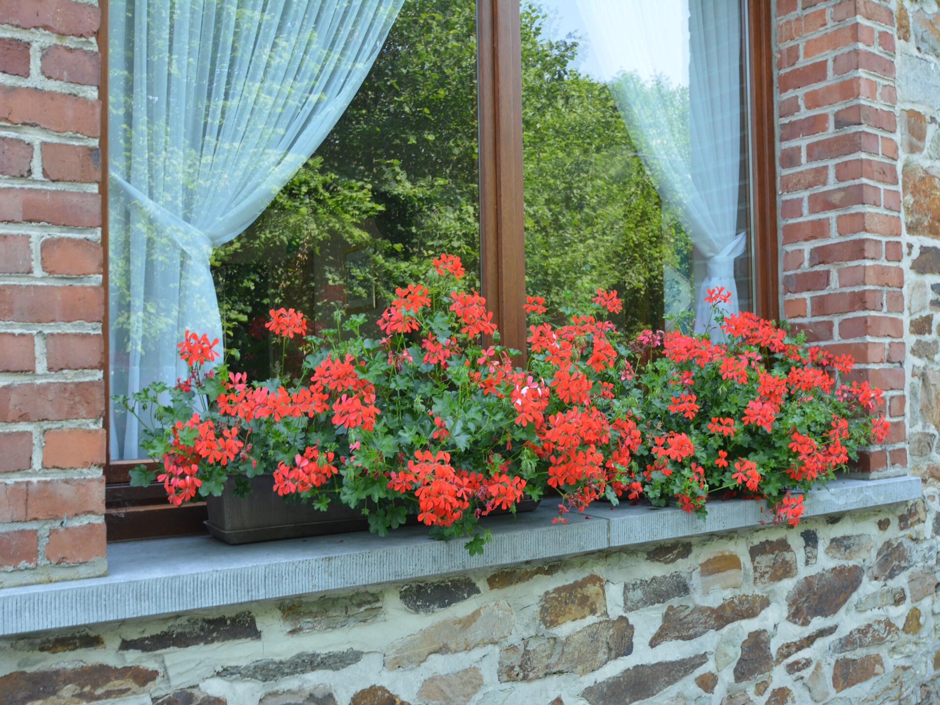 12-persoons vakantiehuis met tuin in Daverdisse - foto 33