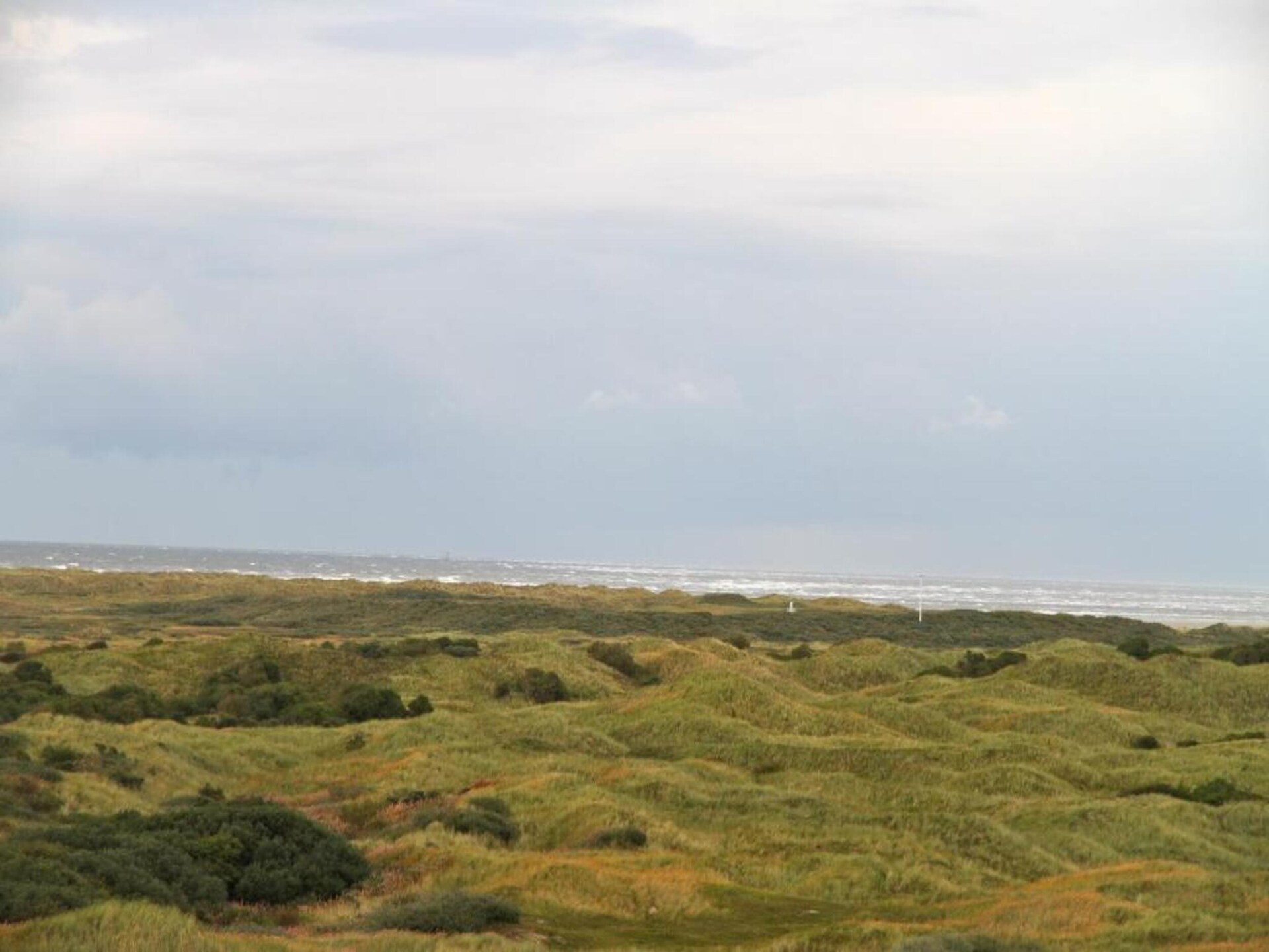 Vrijstaande bungalow op Ameland, huisdieren welkom bij Boomhiemke 13 - foto 36