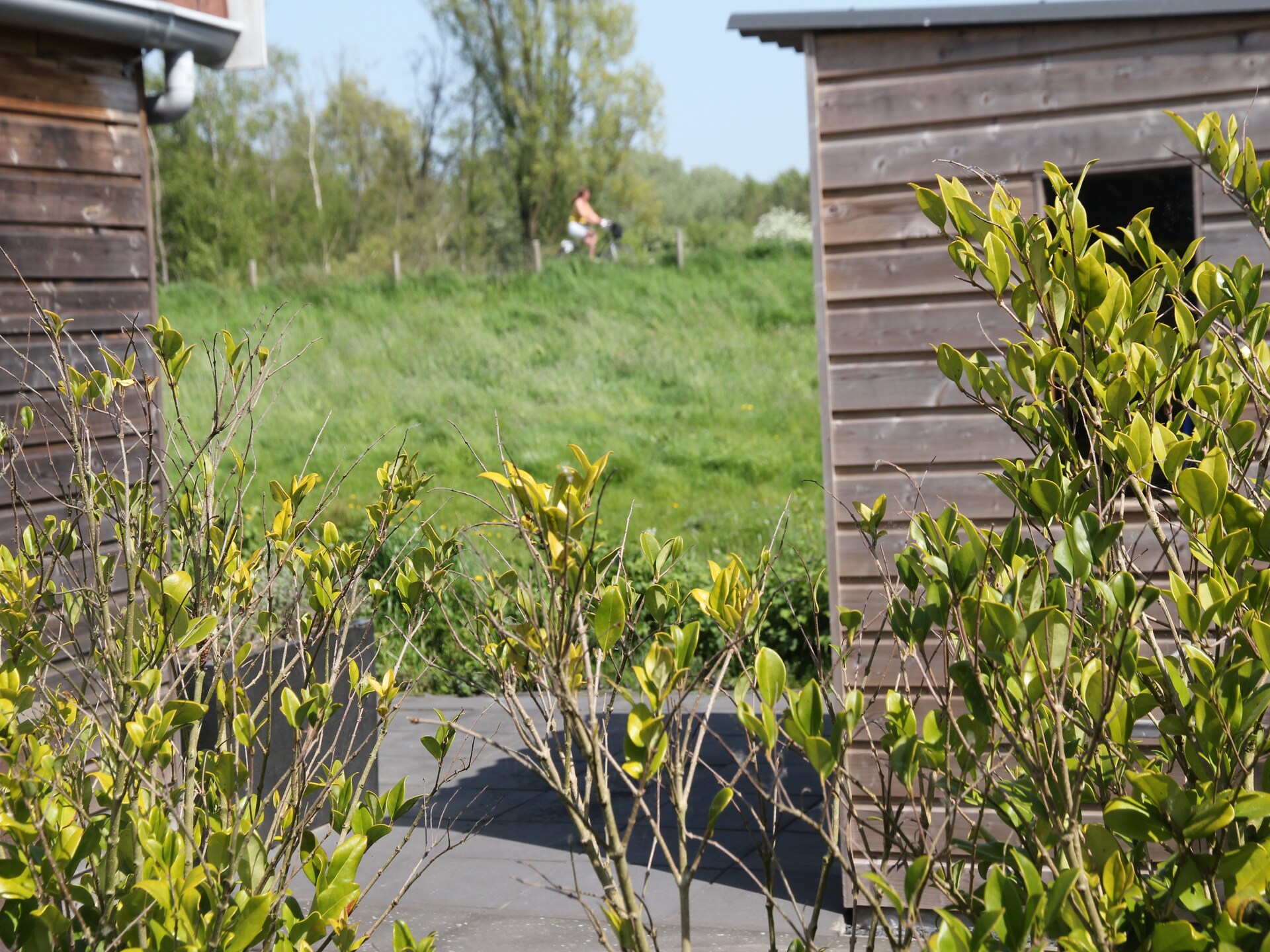 Landelijke bungalow bij zee met hondvriendelijk bos in Warmenhuizen - foto 28