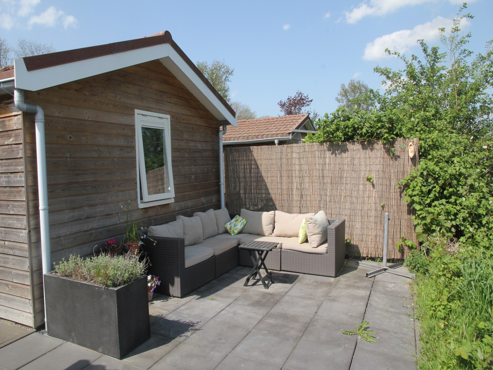 Landelijke bungalow bij zee met hondvriendelijk bos in Warmenhuizen - foto 20