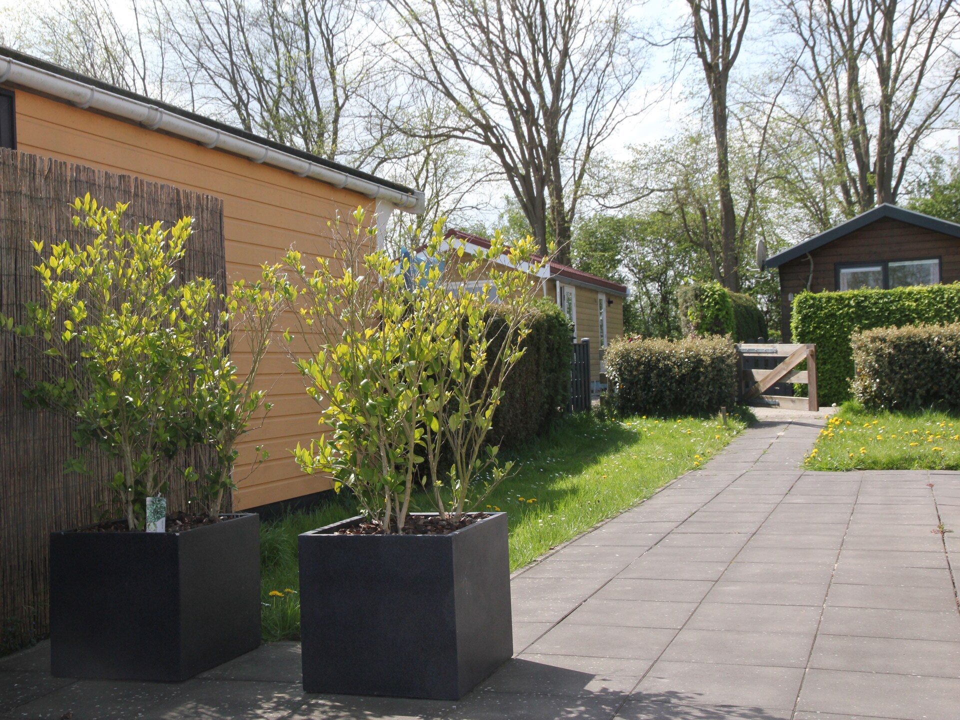Landelijke bungalow bij zee met hondvriendelijk bos in Warmenhuizen - foto 26
