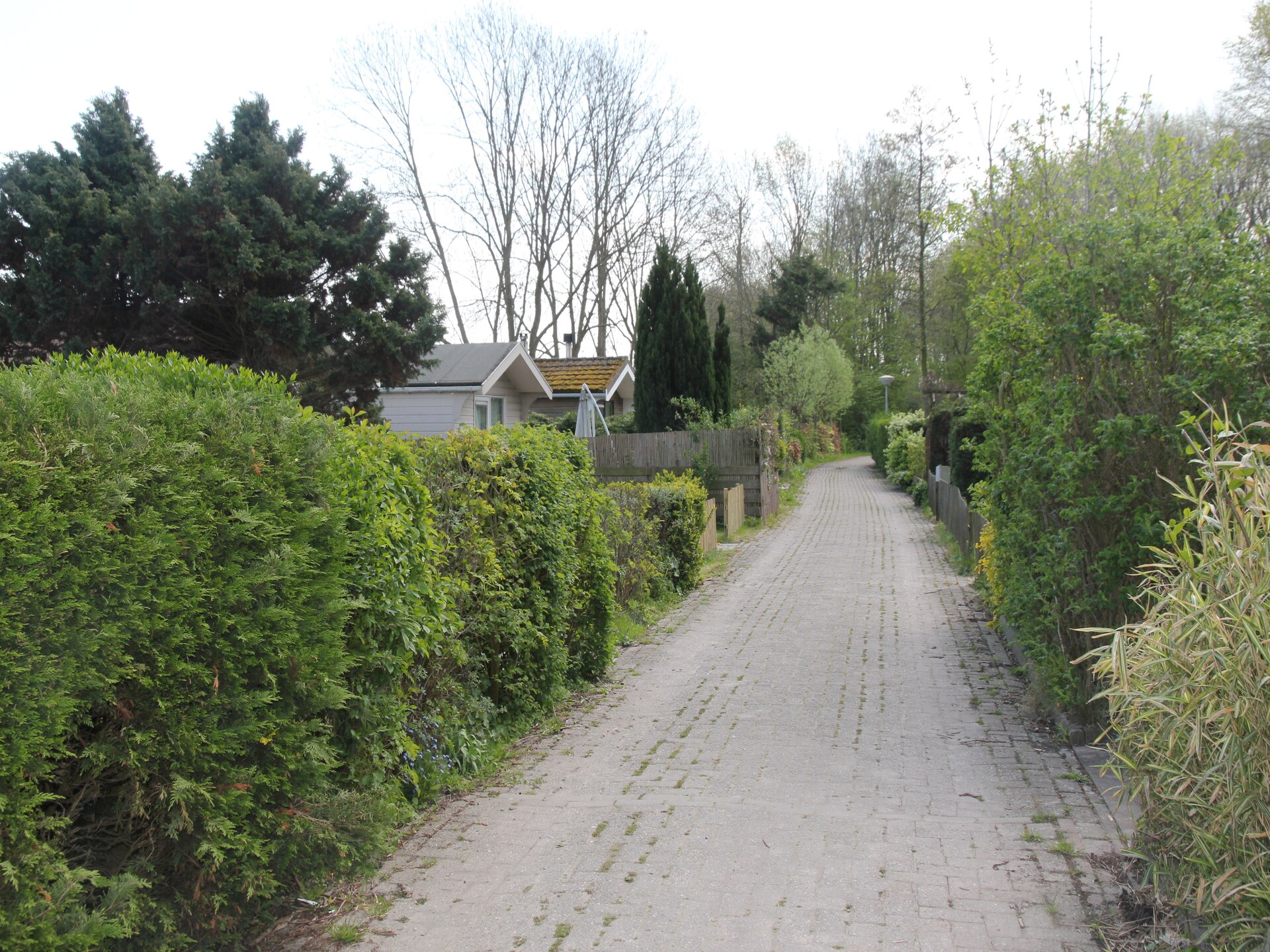 Landelijke bungalow bij zee met hondvriendelijk bos in Warmenhuizen - foto 30