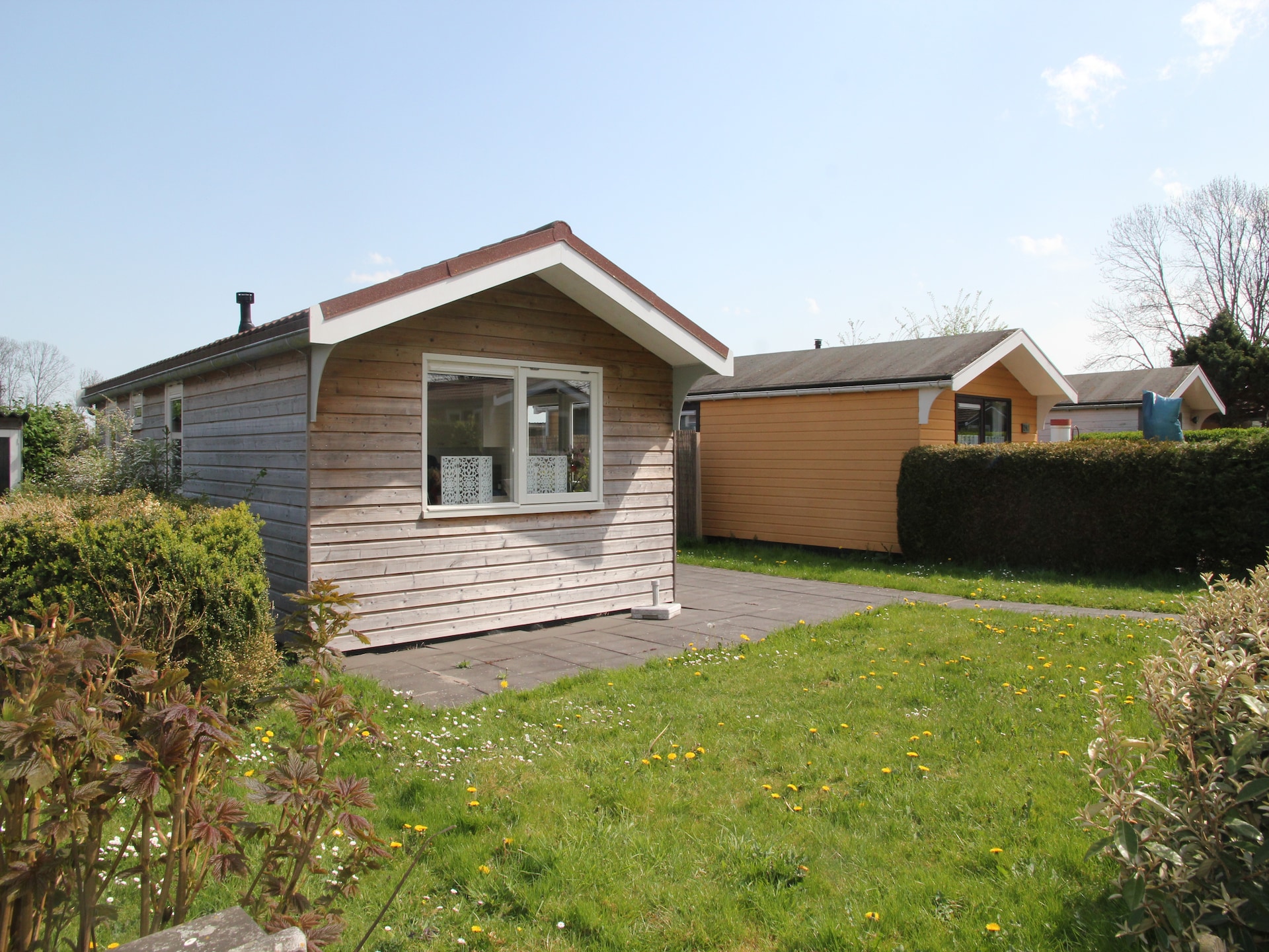 Landelijke bungalow bij zee met hondvriendelijk bos in Warmenhuizen - foto 7