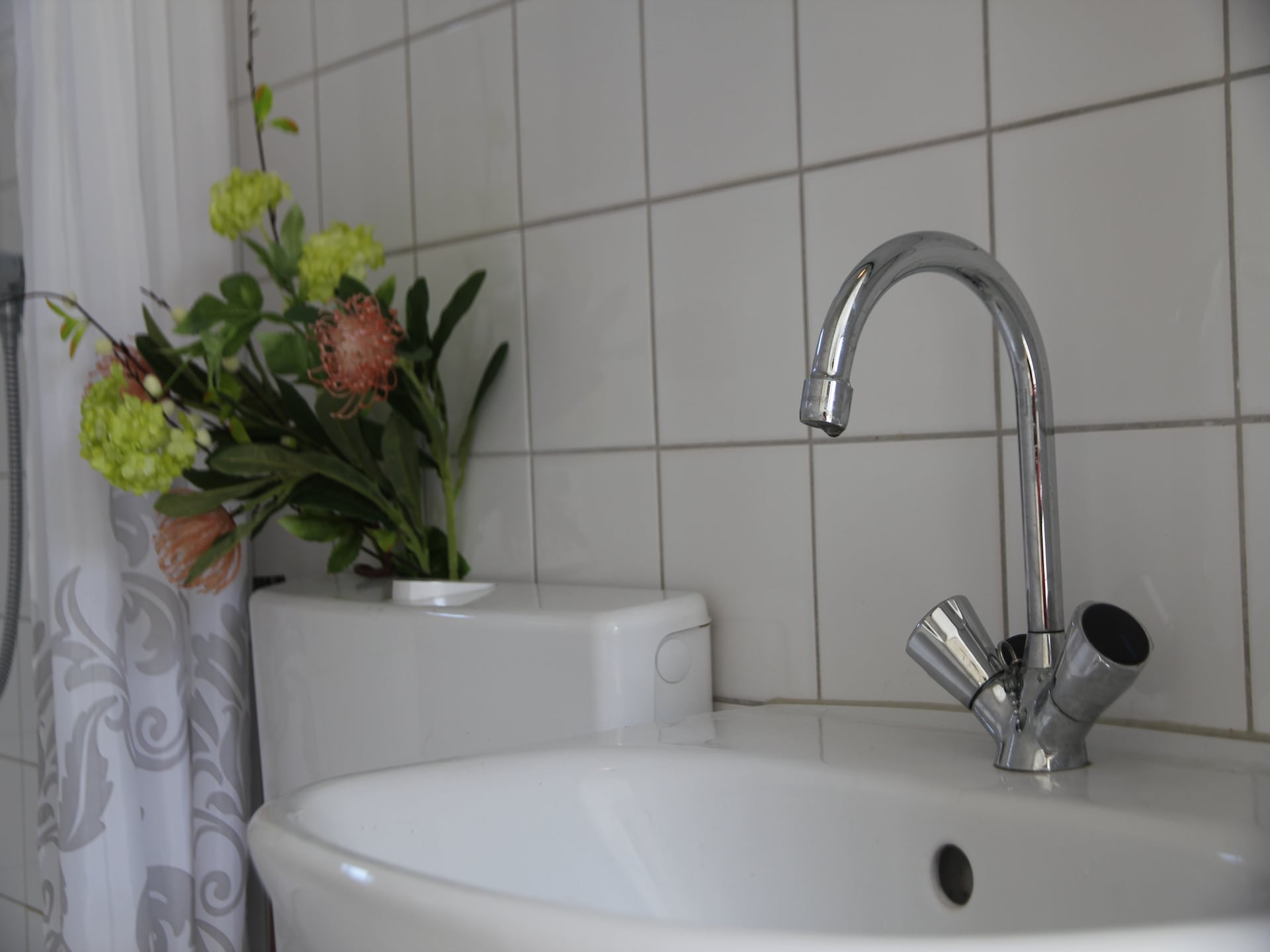 Landelijke bungalow bij zee met hondvriendelijk bos in Warmenhuizen - foto 19