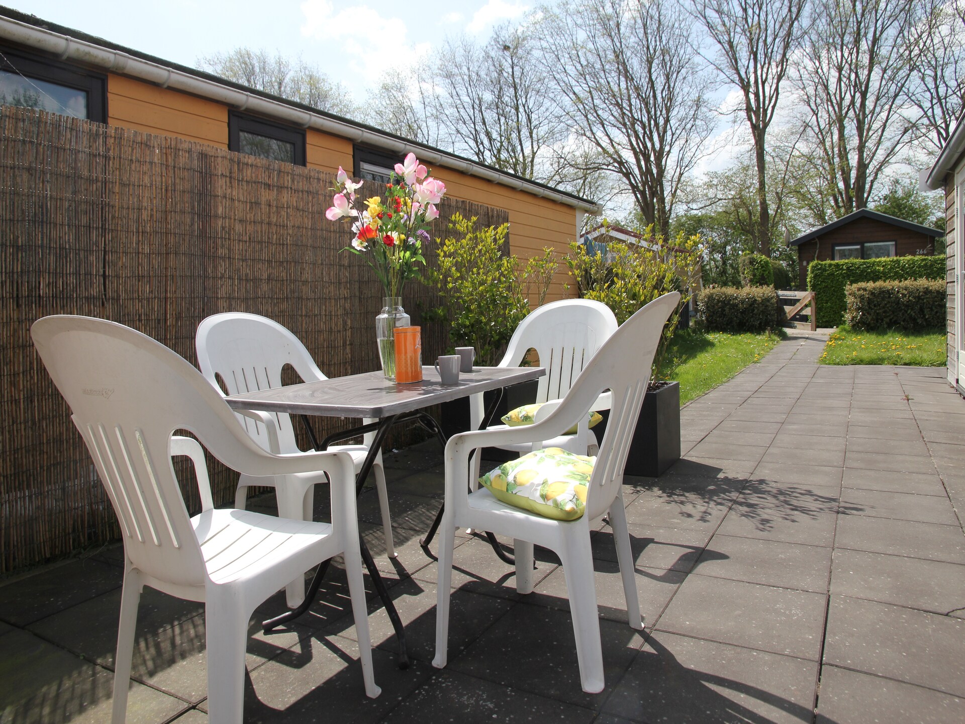 Landelijke bungalow bij zee met hondvriendelijk bos in Warmenhuizen - foto 22