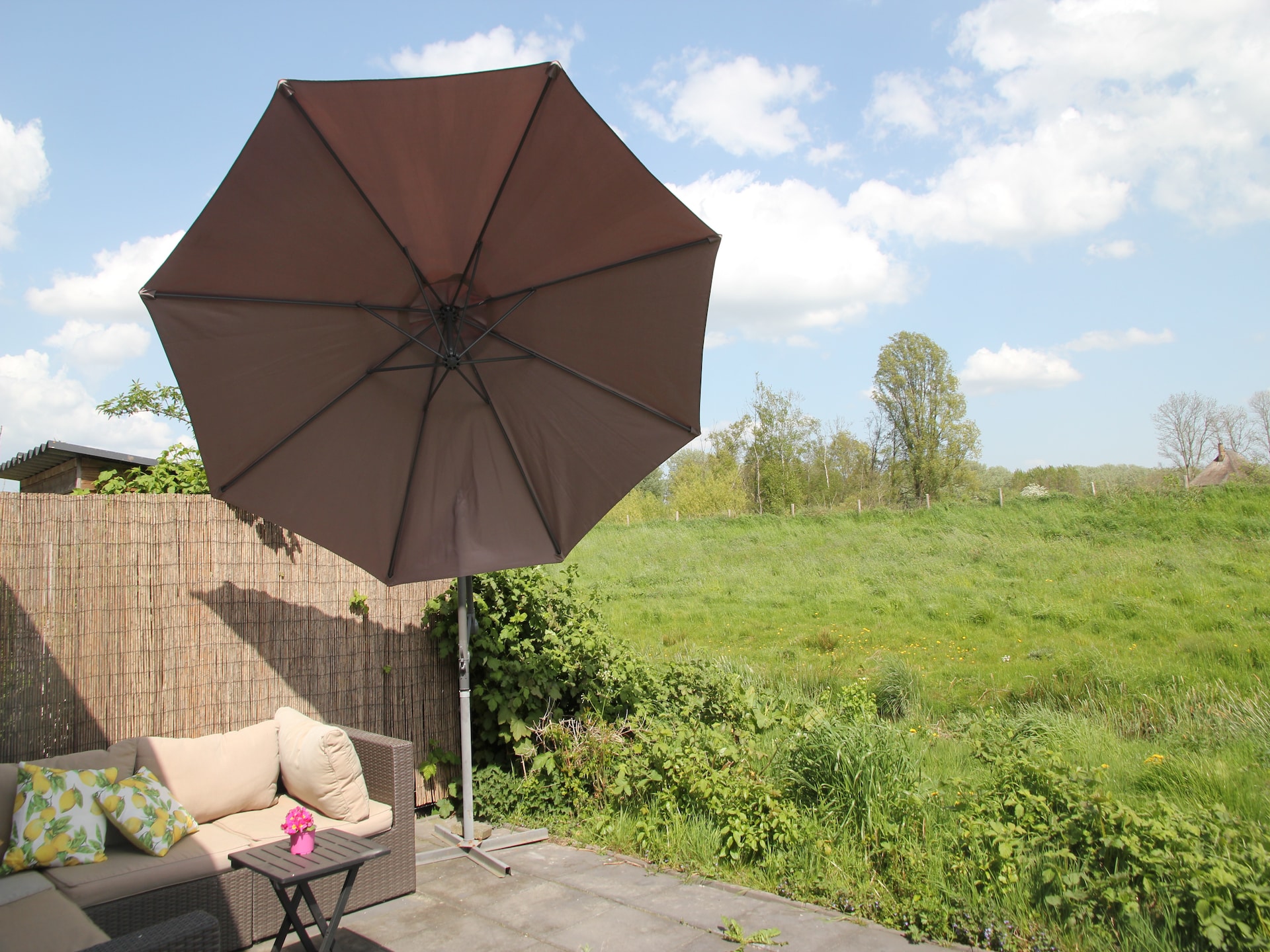 Landelijke bungalow bij zee met hondvriendelijk bos in Warmenhuizen - foto 24