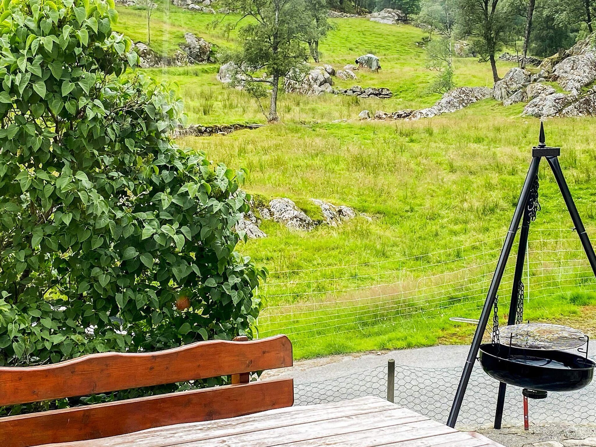 9-persoons vakantiehuis in Reksteren op 800m van het meer - foto 35