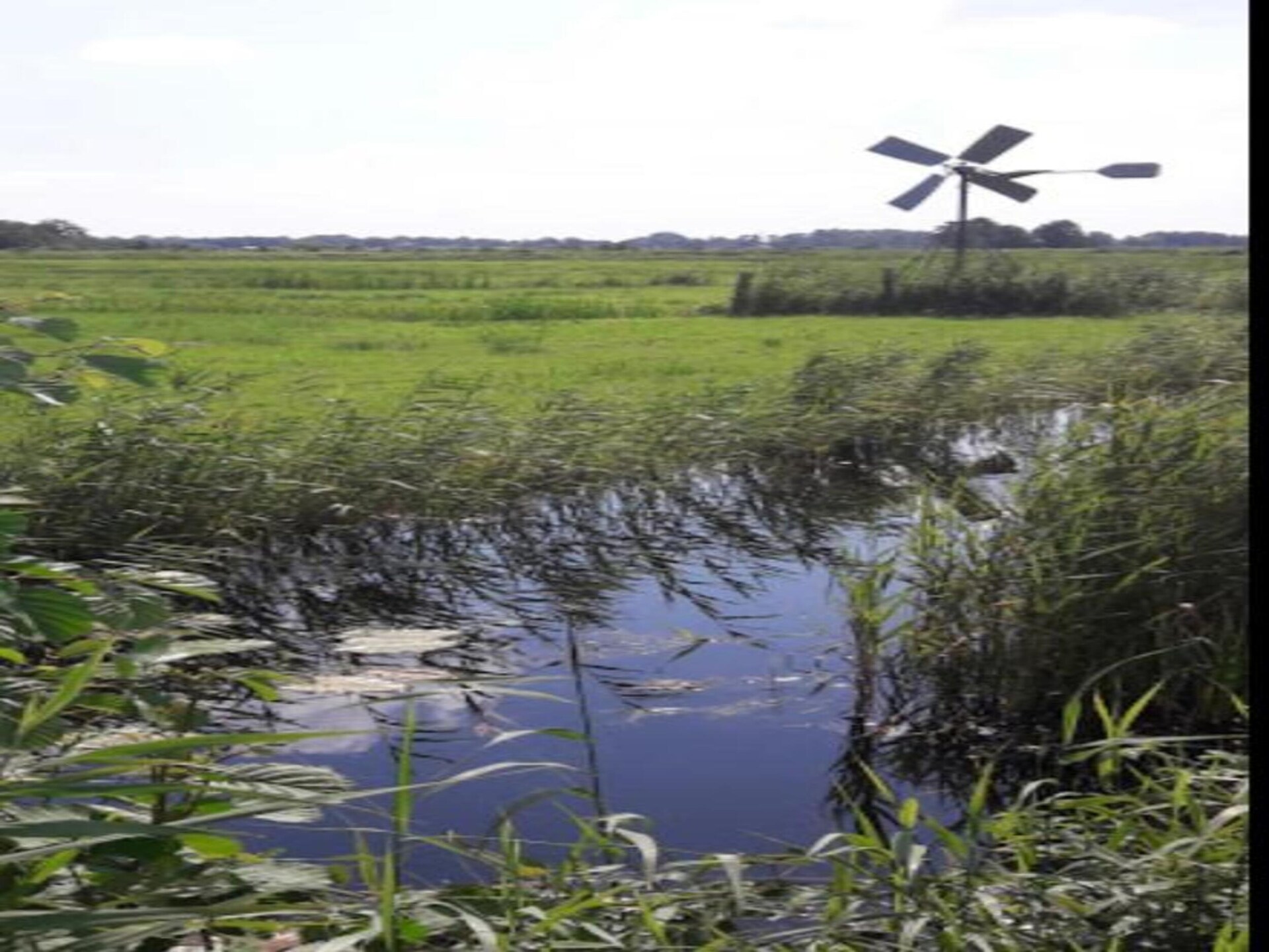 Knus vakantiehuisje in Dwarsgracht, op steenworp afstand van Giethoorn - foto 35