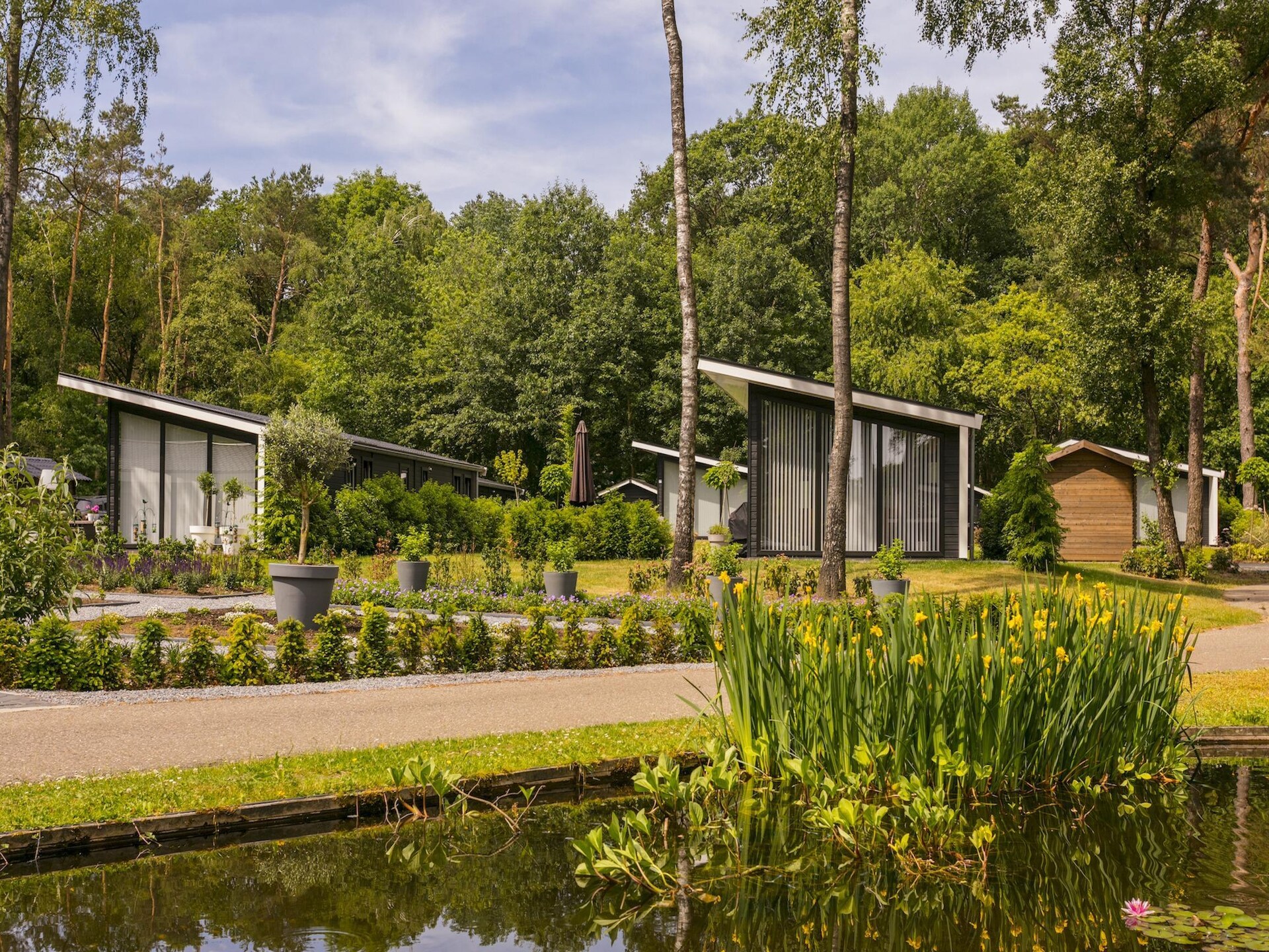 Moderne Bos Lodge Markelo – luxe vakantiehuis voor 6 personen - foto 16