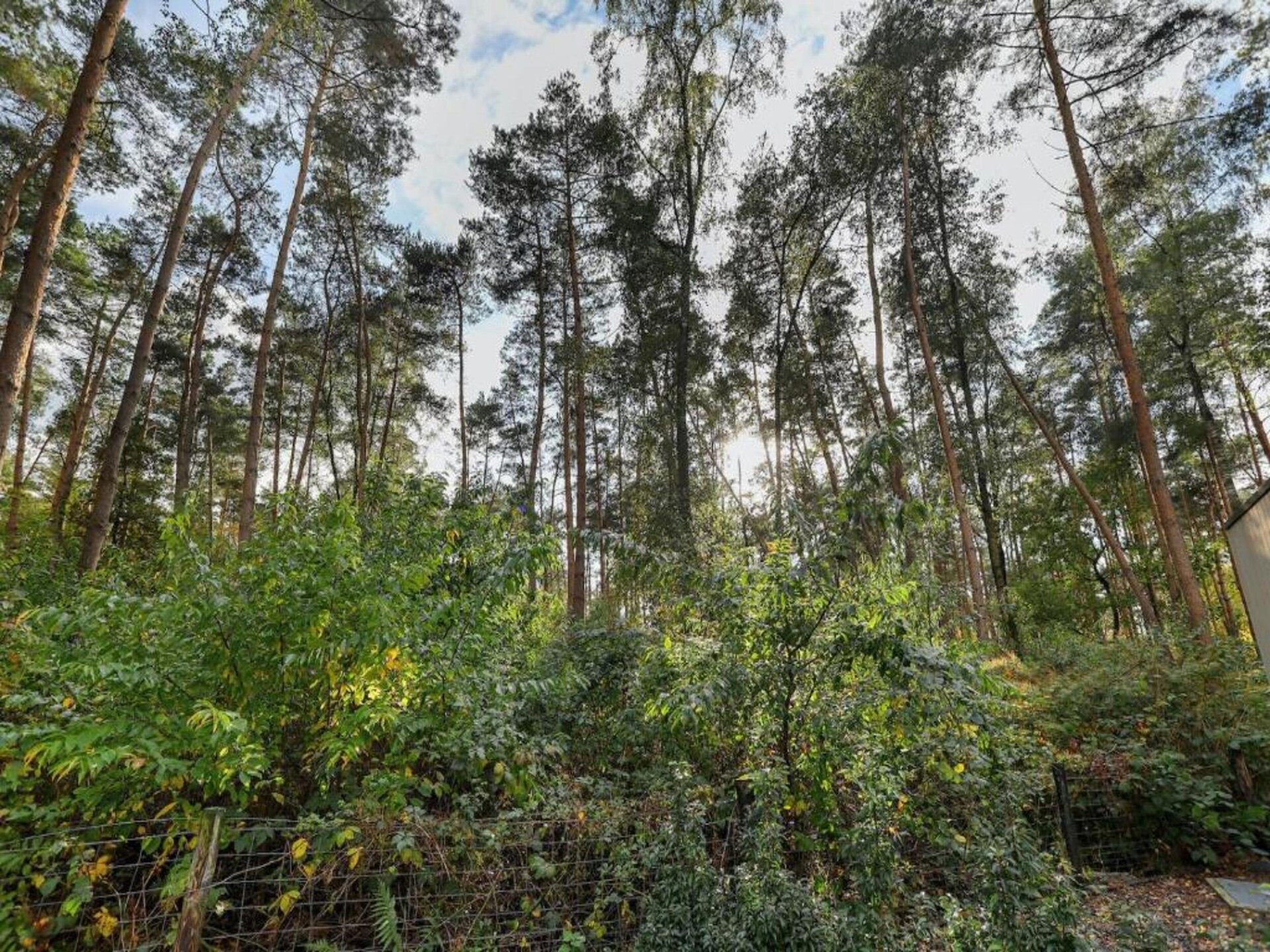 Moderne Bos Lodge Markelo – luxe vakantiehuis voor 6 personen - foto 39