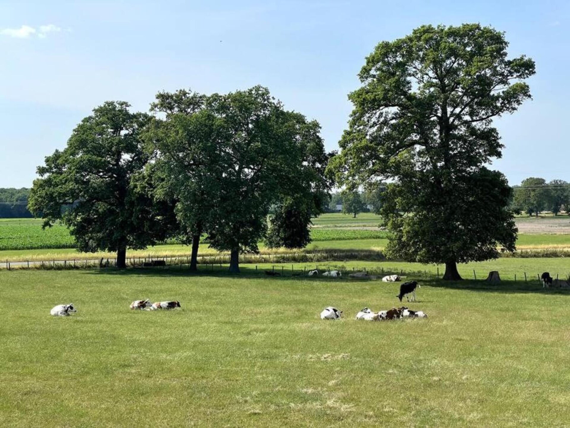 Moderne Bos Lodge Markelo – luxe vakantiehuis voor 6 personen - foto 32