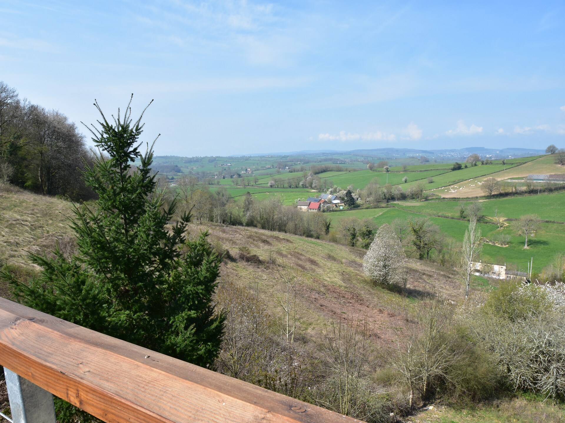 Luxe landhuis met gedeeld zwembad op 14 hectare in Bourgondië - foto 32