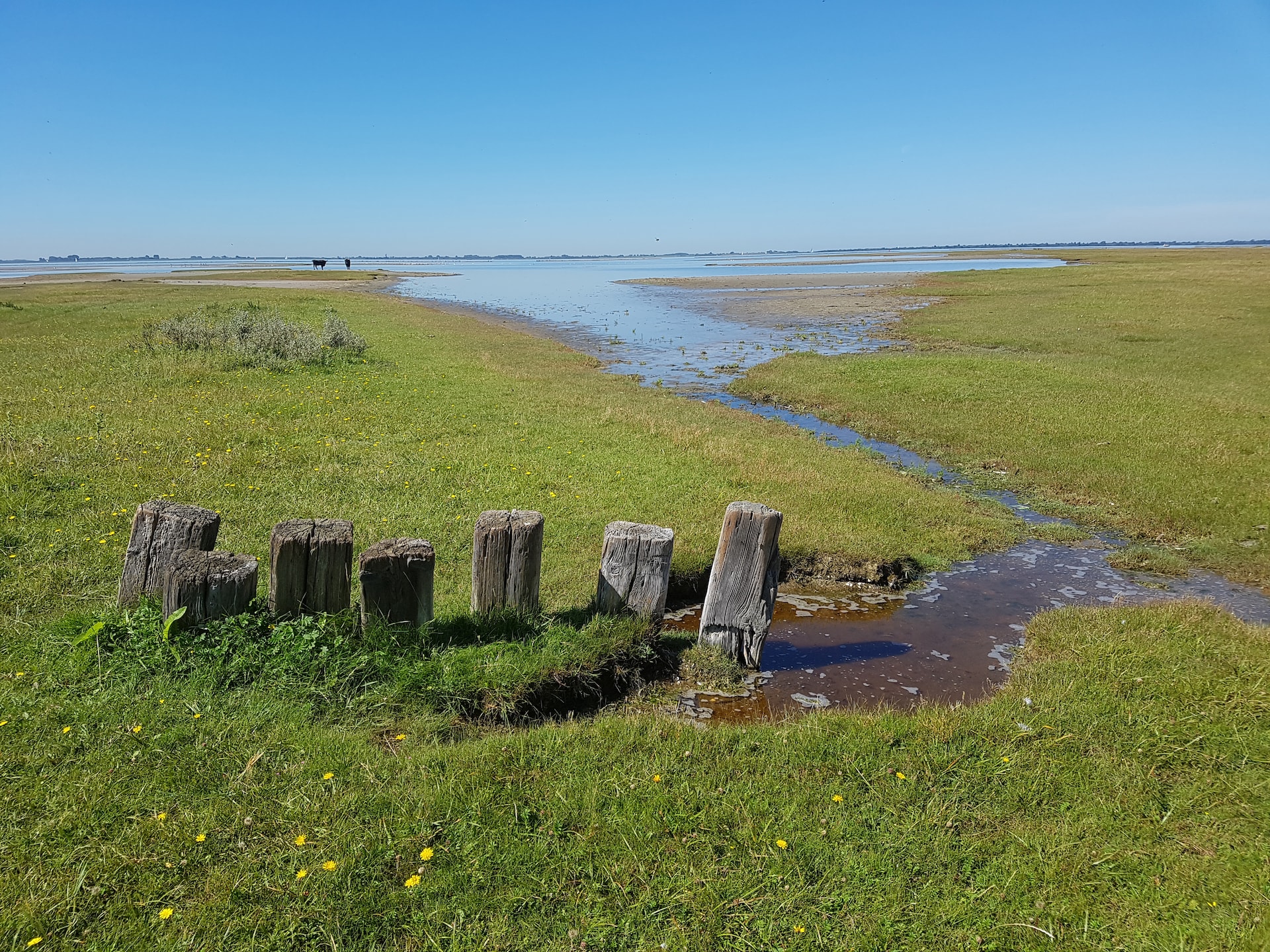 Duurzame 4-persoonsbungalow aan natuurgebied in Herkingen - foto 14