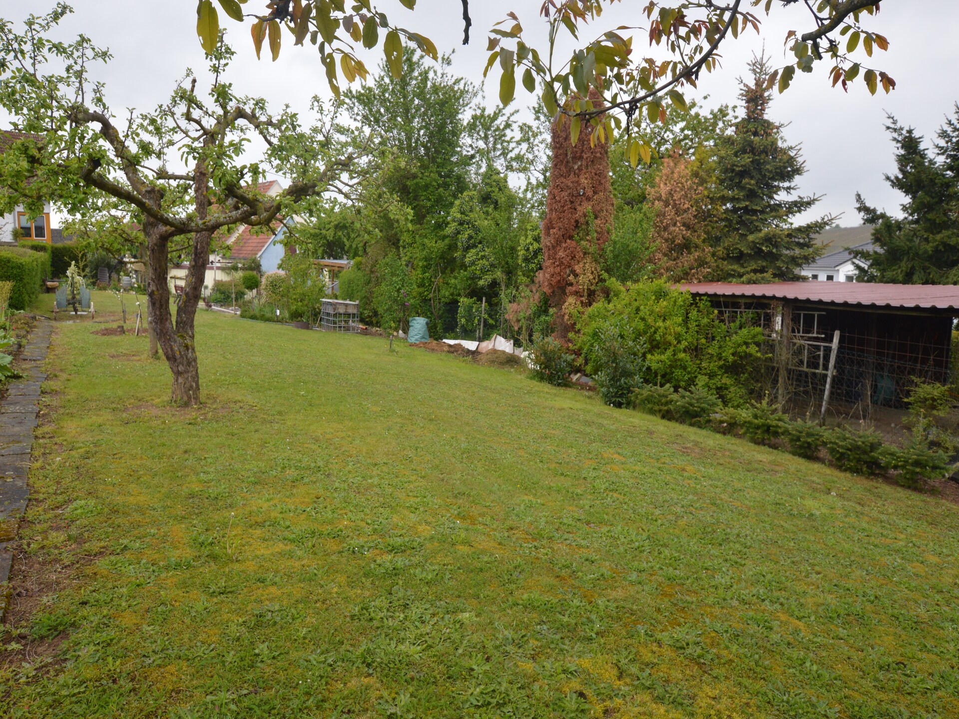 Knus bosappartement aan de Moezel bij het drielandenpunt - foto 37