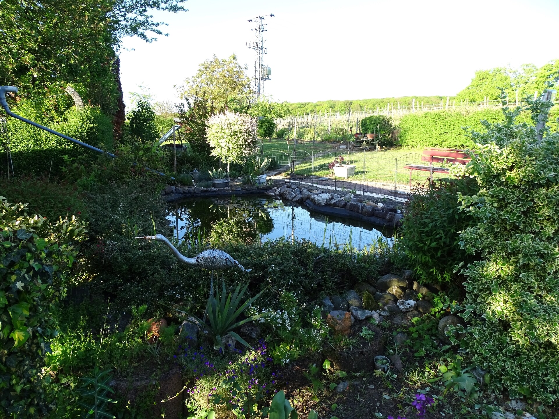 Knus bosappartement aan de Moezel bij het drielandenpunt - foto 21