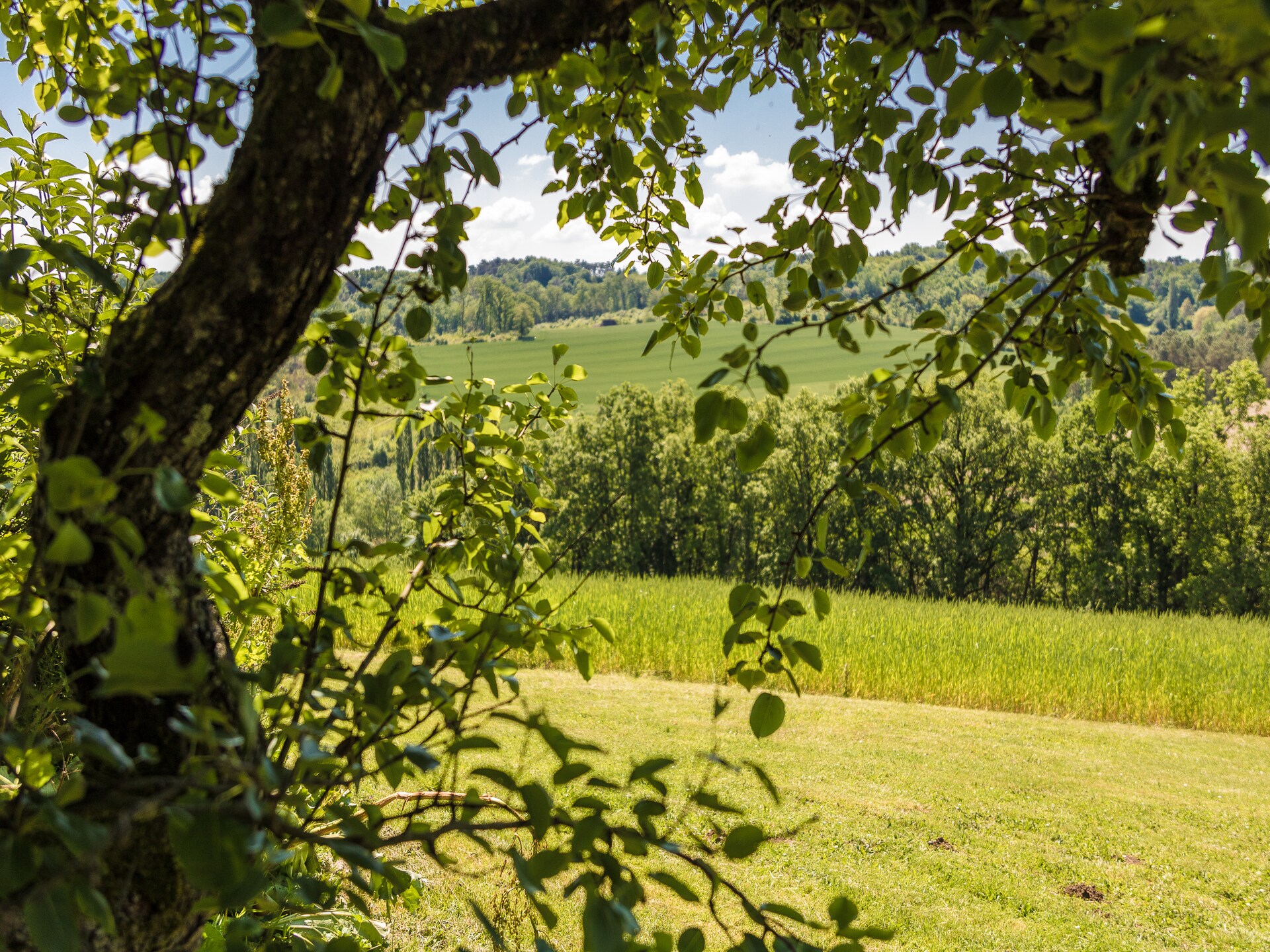 18e-eeuws vakantiehuis met privézwembad en panoramisch uitzicht in de Dordogne - foto 23