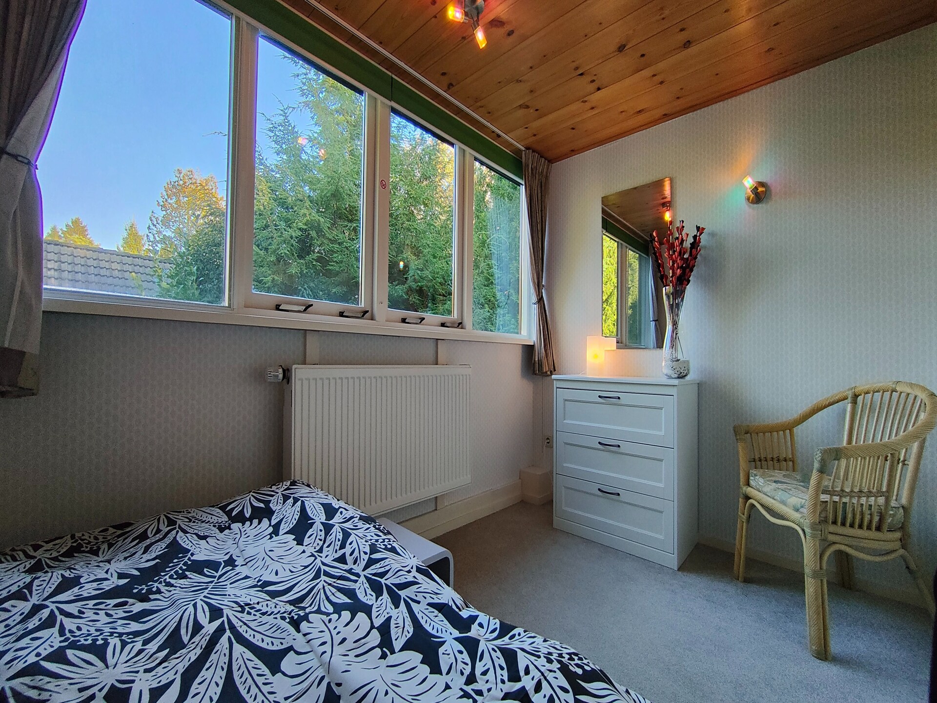 Vrijstaand vakantiehuis op de Veluwe met tuin, 4 slaapkamers, hond welkom - foto 16