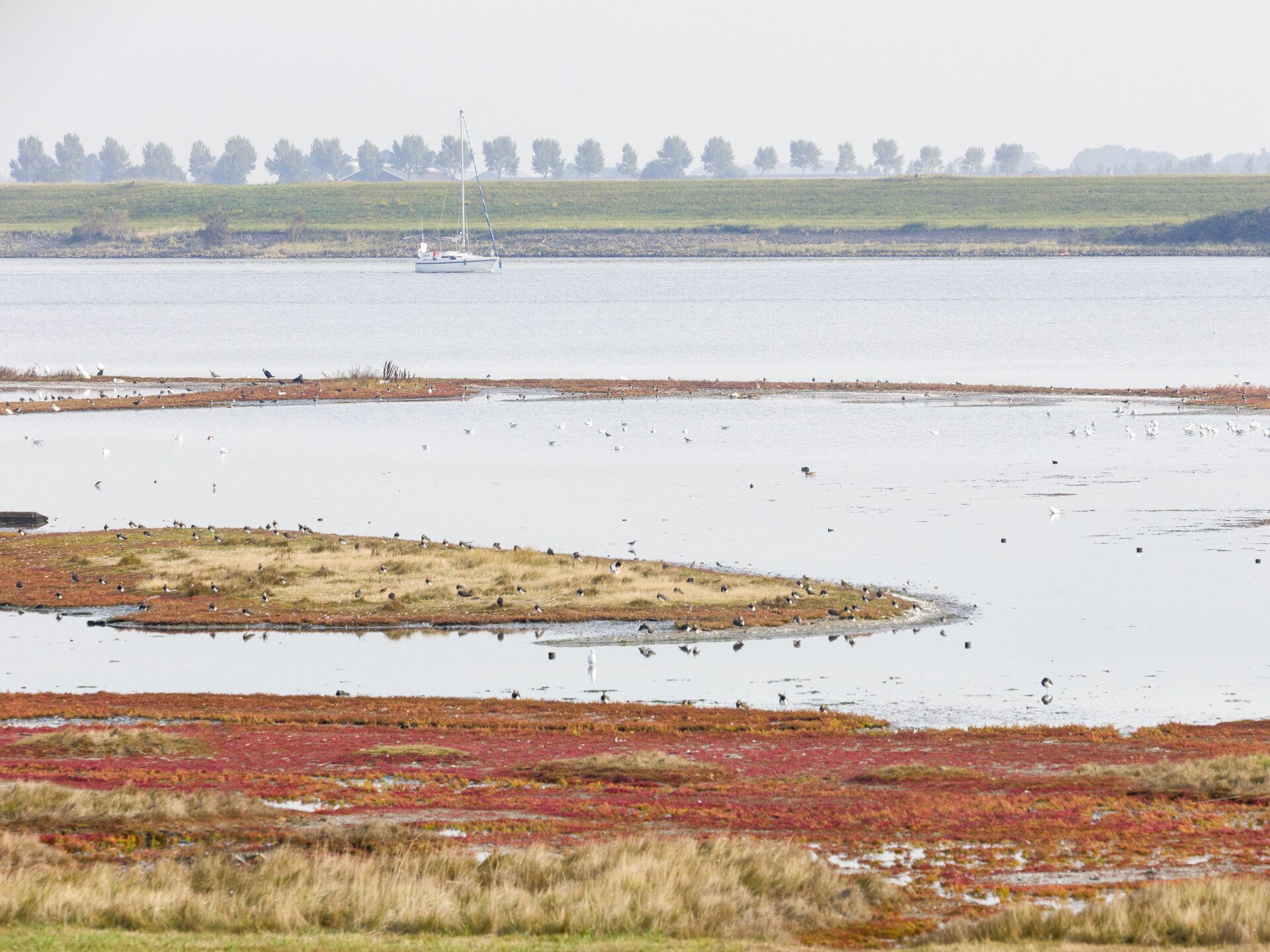 Luxe watervilla met haard en steiger aan het Veerse Meer, huisdieren welkom - foto 16