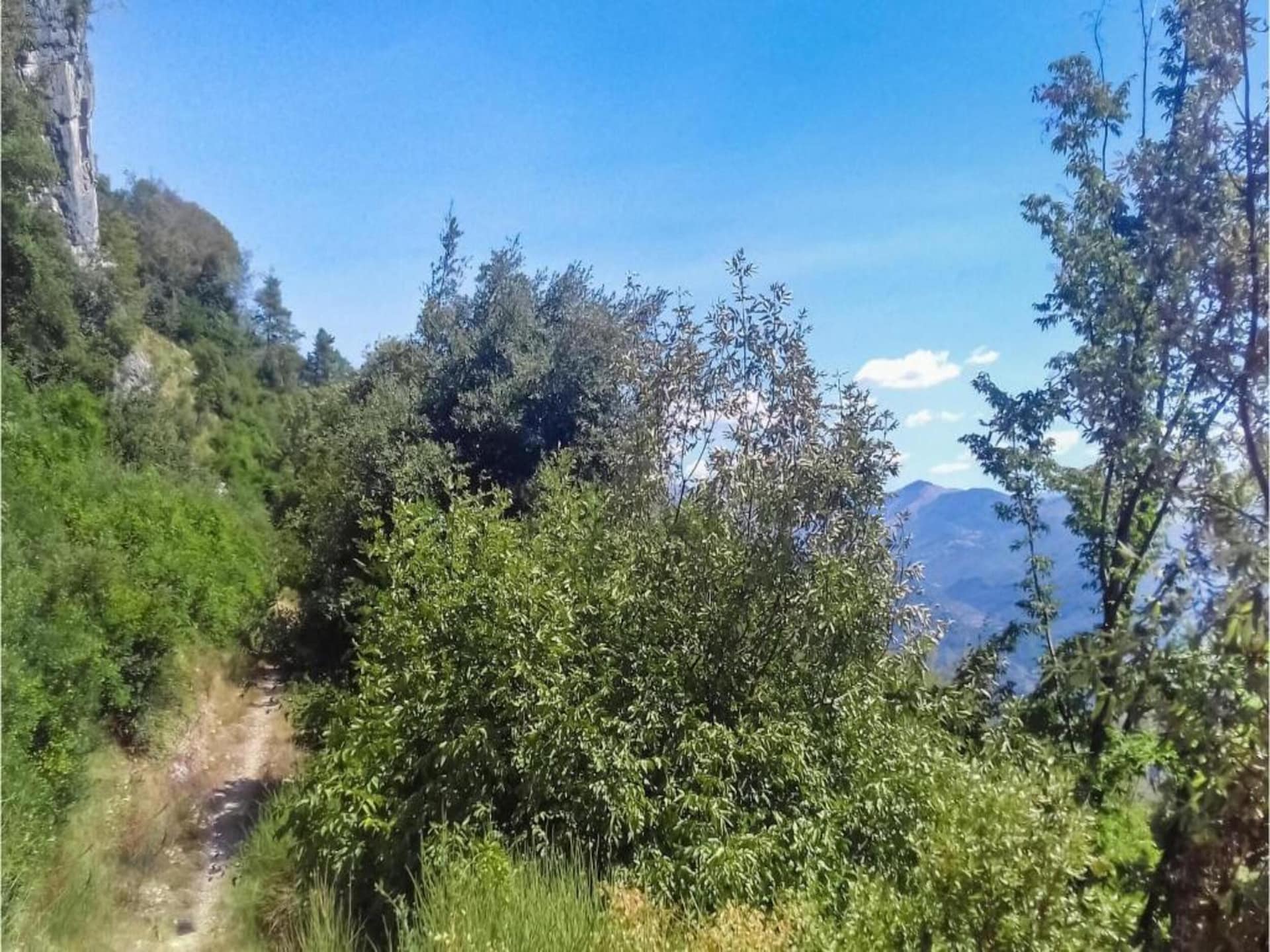Ruim vakantiehuis Vistaverde in Bagni di Lucca voor 8 personen - foto 36