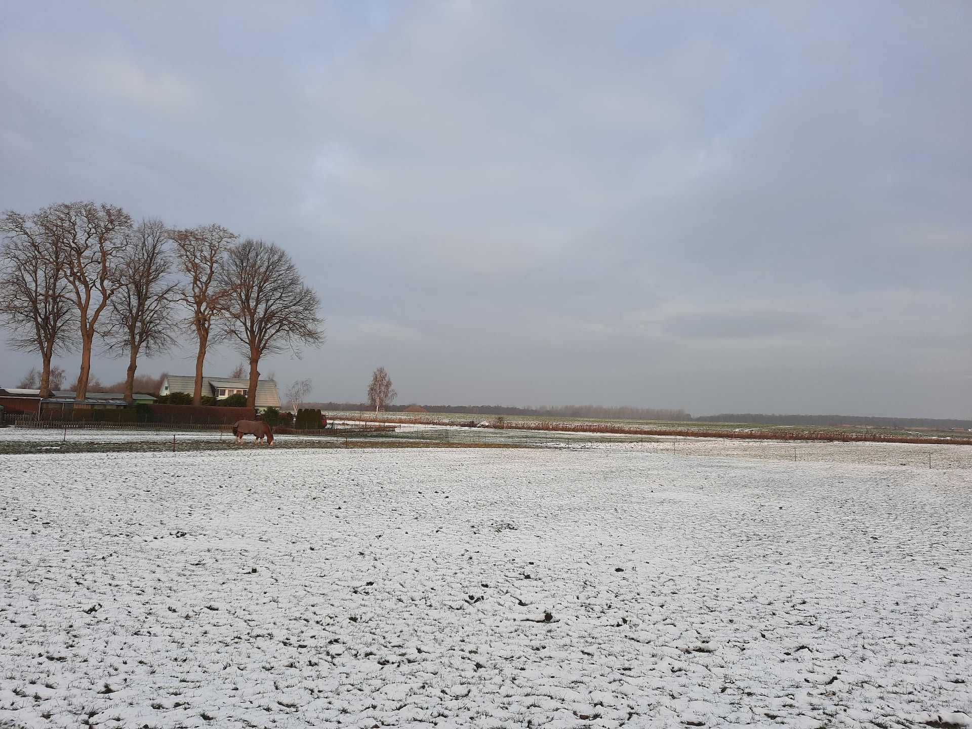 Op 800m van zee: Gezellig appartement op Insel Poel voor 4 personen - foto 24